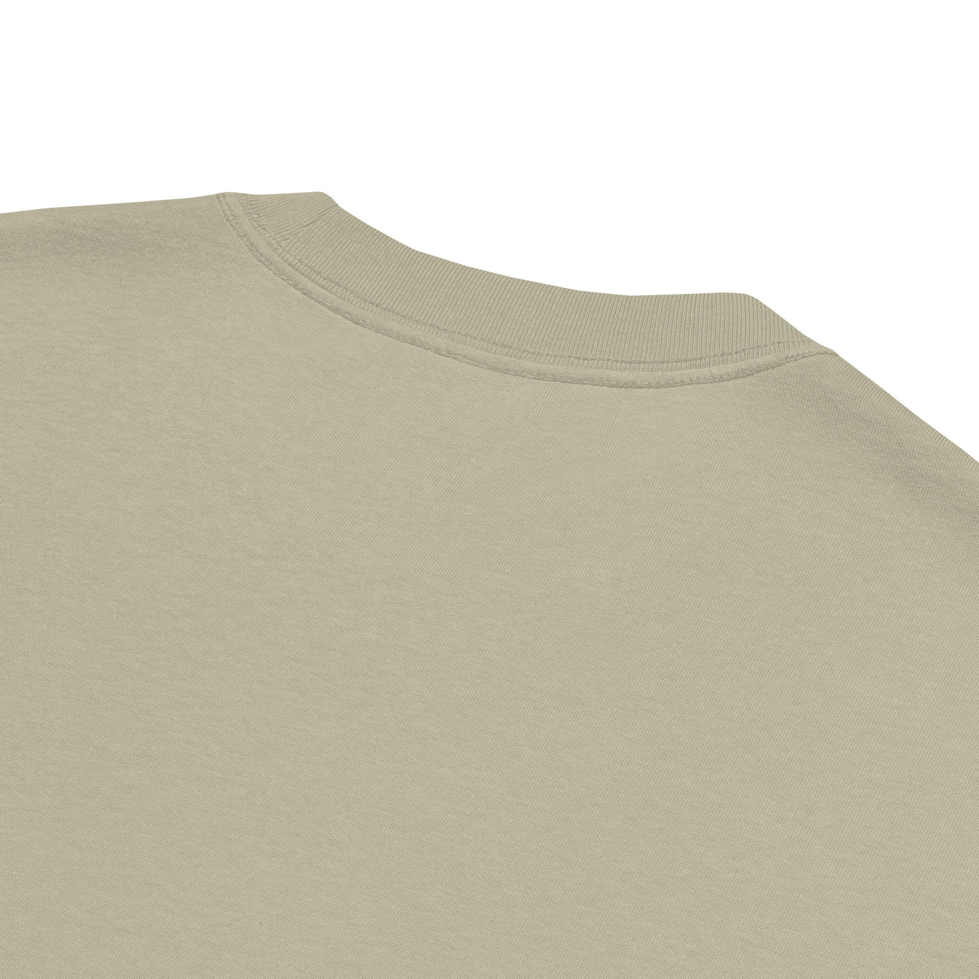 oversized-faded-t-shirt-faded-eucalyptus-product-details-67ef37e7b756c.jpg