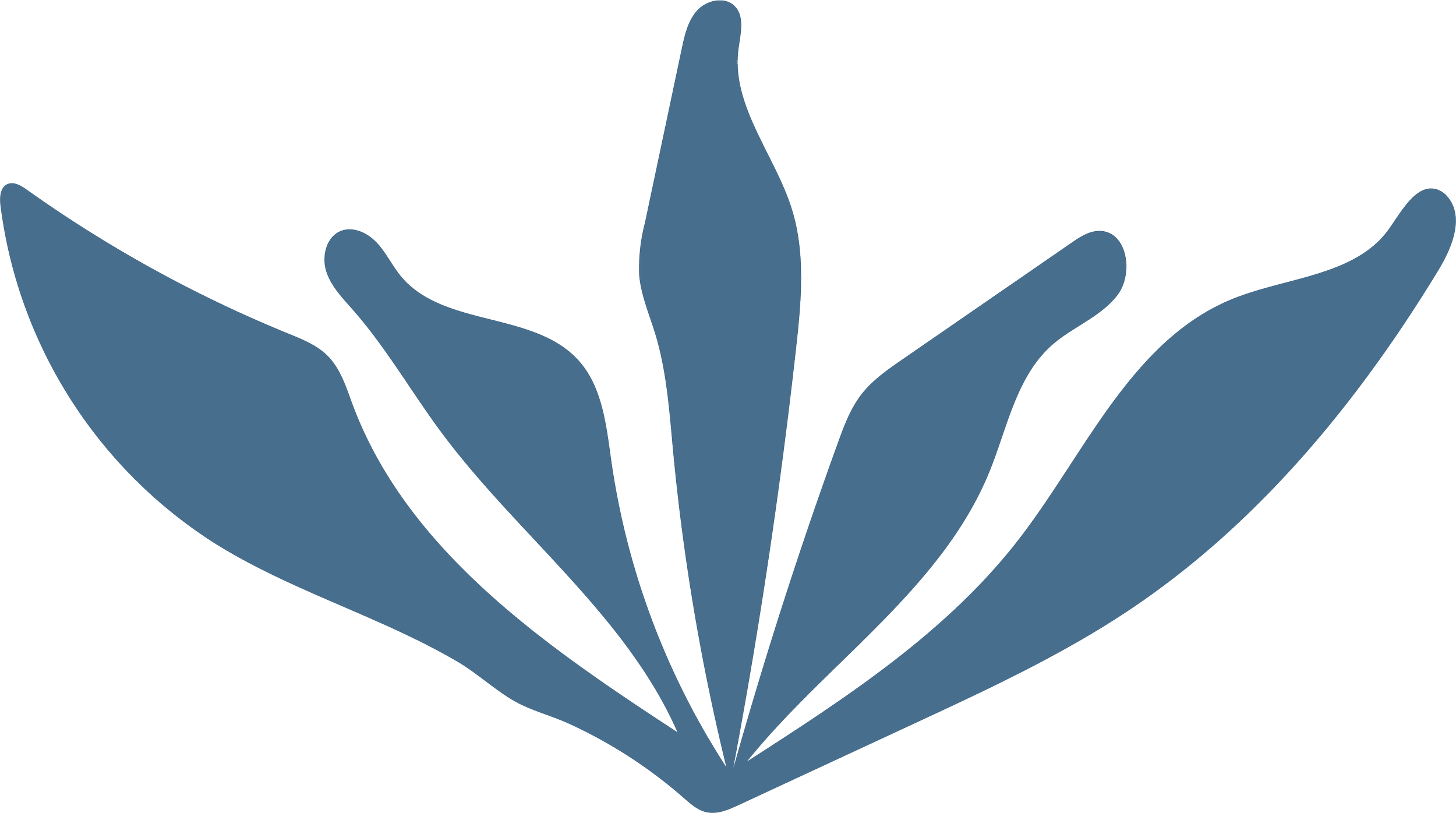 TS_Flower-Ocean.png