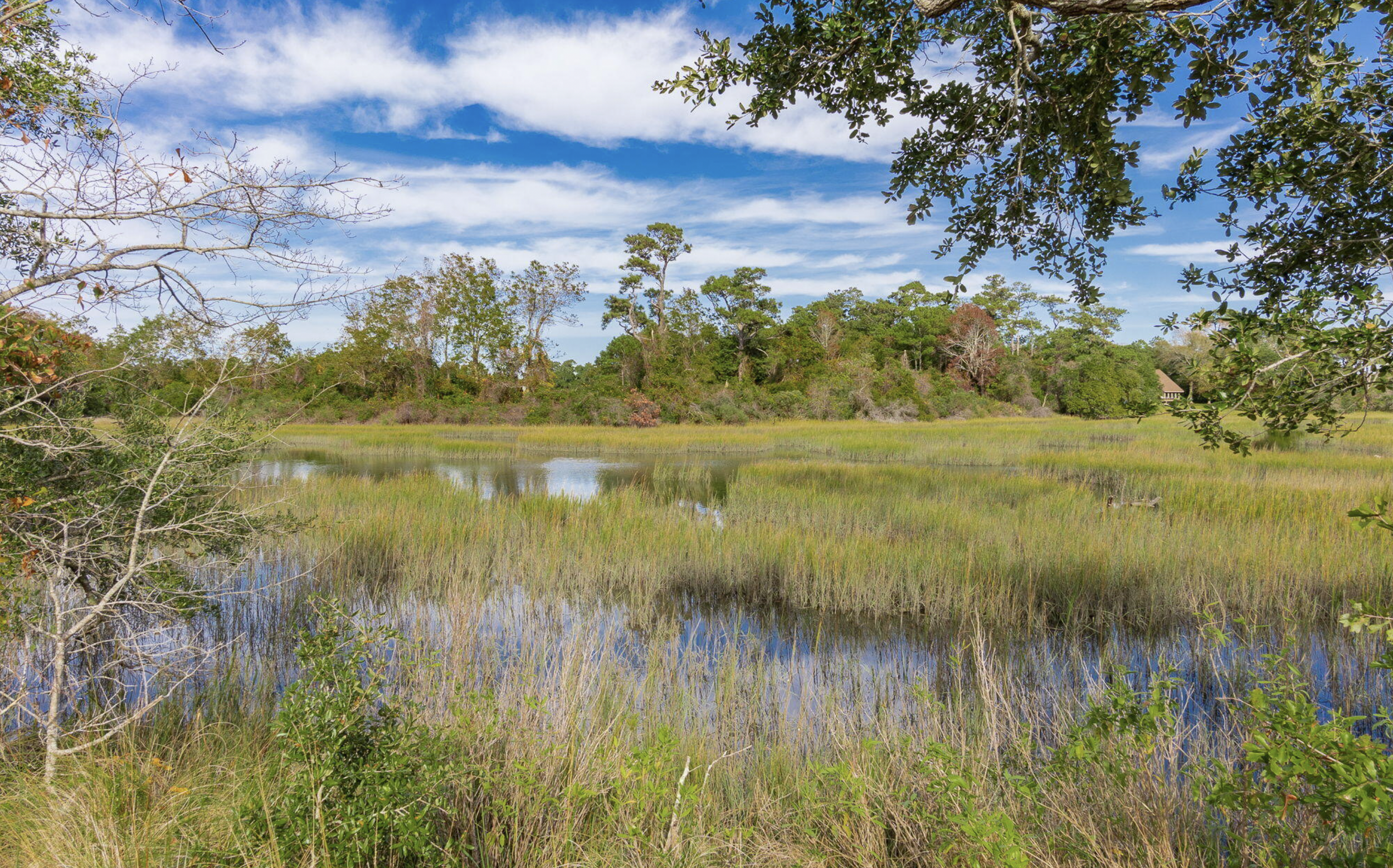 Screenshot 2026-01-10 at 8.52.07 AM.png