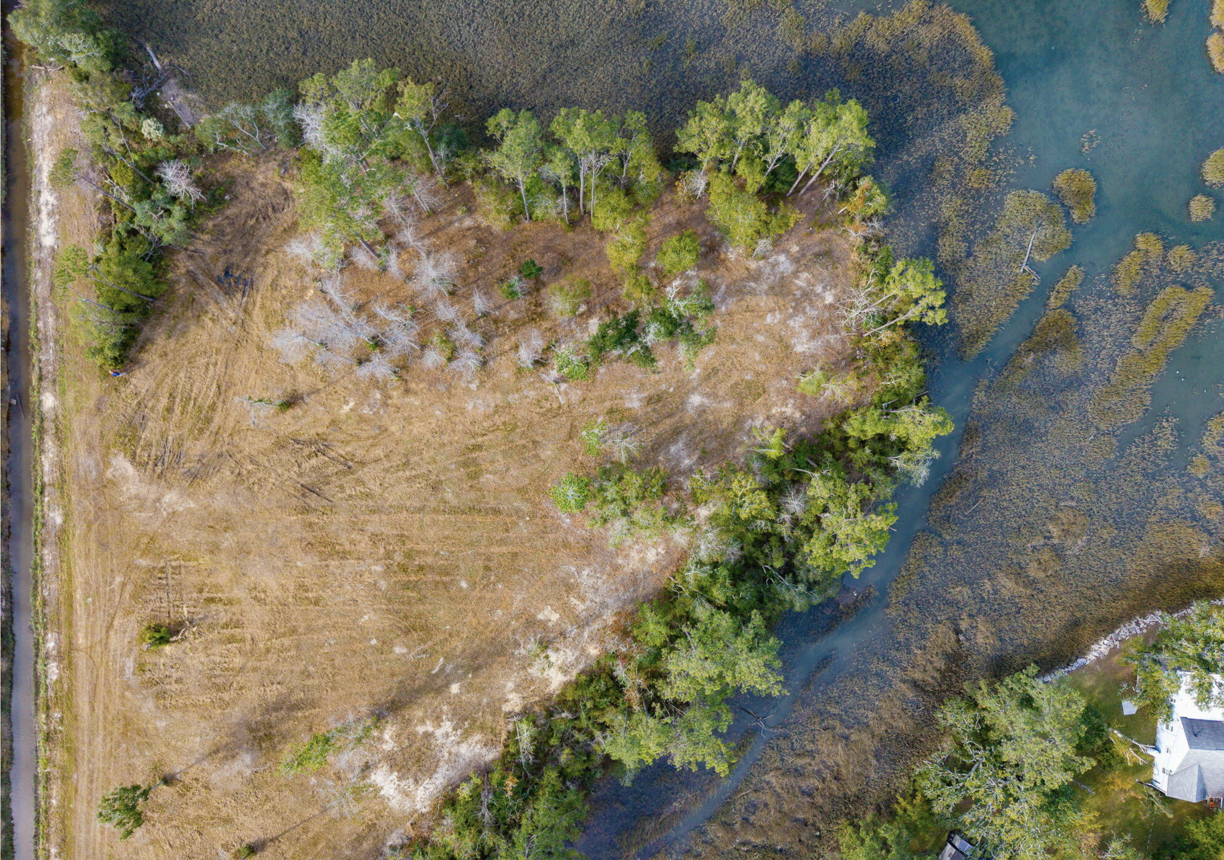 Screenshot 2026-01-10 at 8.51.32 AM.png