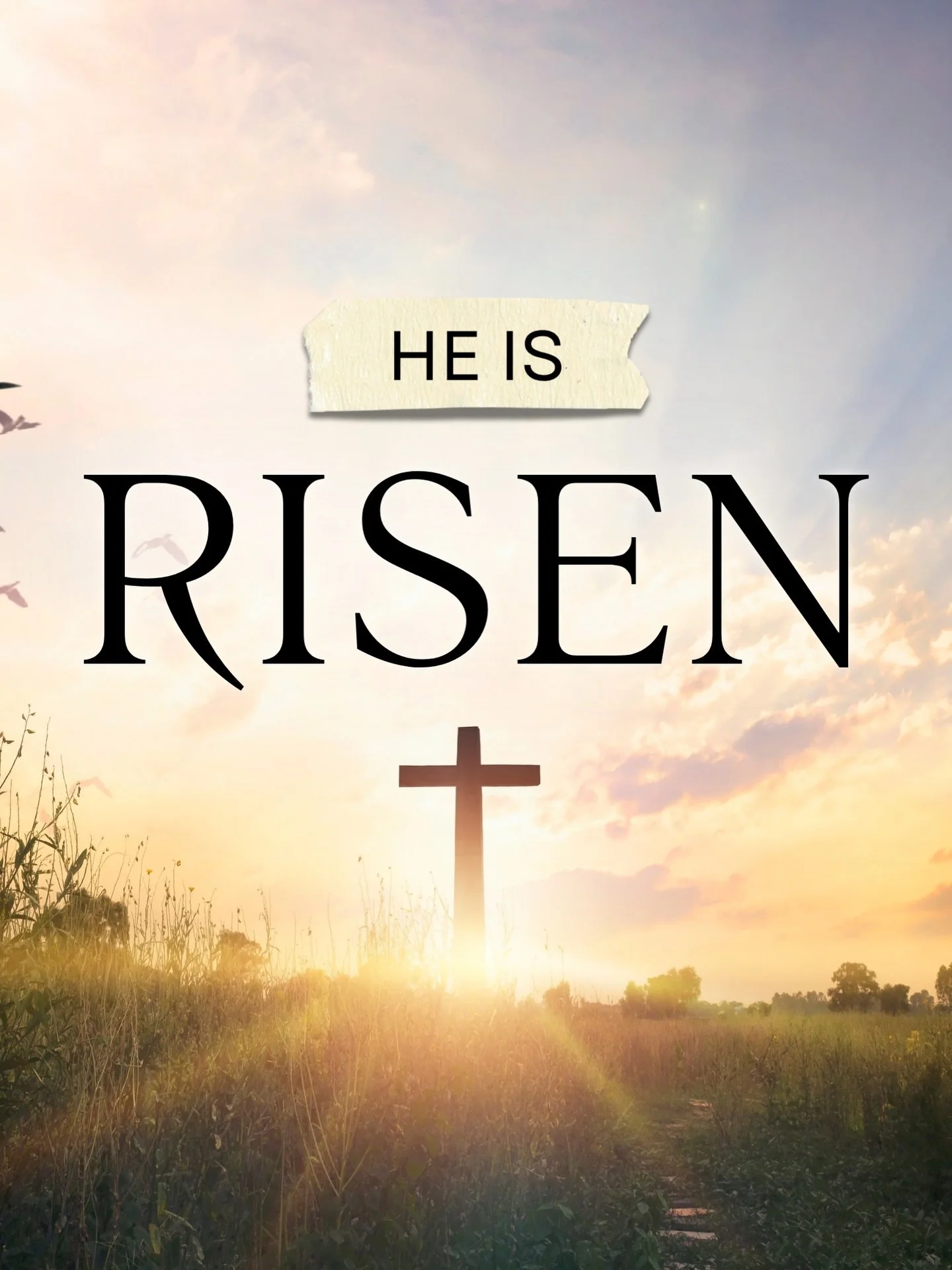 He is risen indeed. ✝️ 

Wishing you a blessed Easter filled with faith, peace, and the joy of celebrating our risen Savior. 

We are grateful for our clients, our community, and the opportunity to serve you.

Happy Easter from all of us at Baran Pro