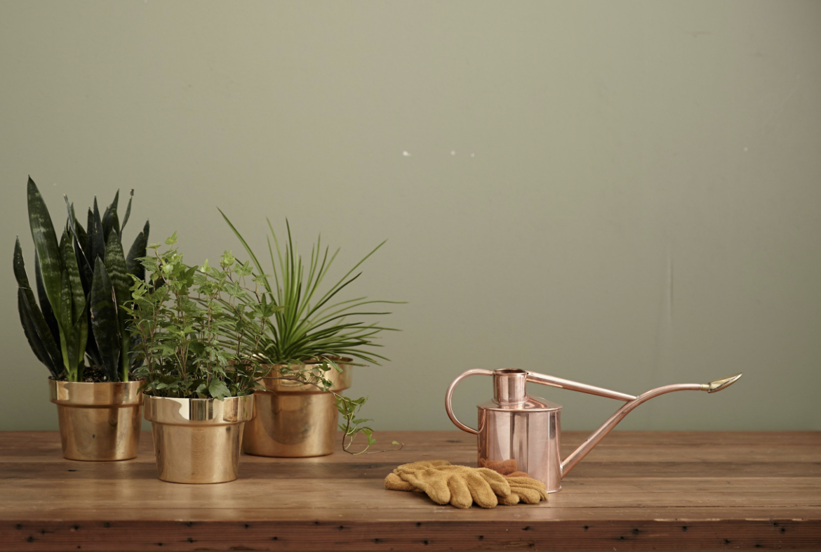 🌳 Les pépinières de Lyon et ses alentours