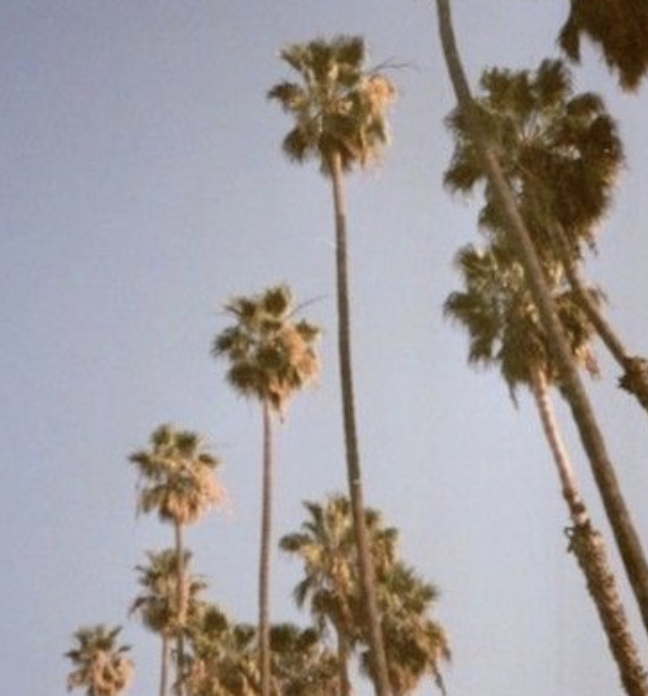 Screenshot 2025-04-02 at 12.20.04 PM.png