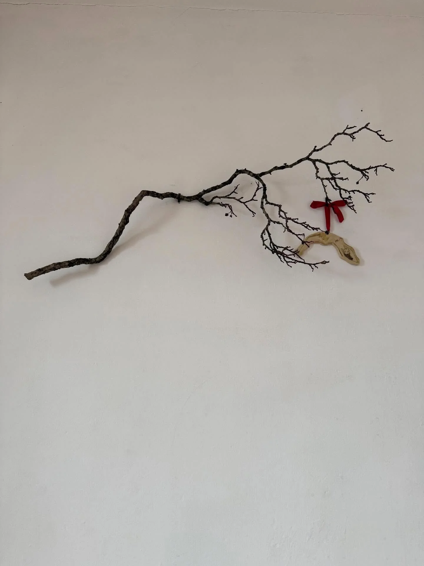 Feb - Mostly pics of flowers and the harmonium tbh because you can never have too many of either of them 🥰 ⁣
⁣
Lots and lots of magic this month. ⁣
⁣
Spring is springing 🪶✨ ⁣
⁣
Viva 🔥 ⁣
⁣
⁣
#viva #imbolc #harmonium #yogaeverydamday #bhaktiyoga