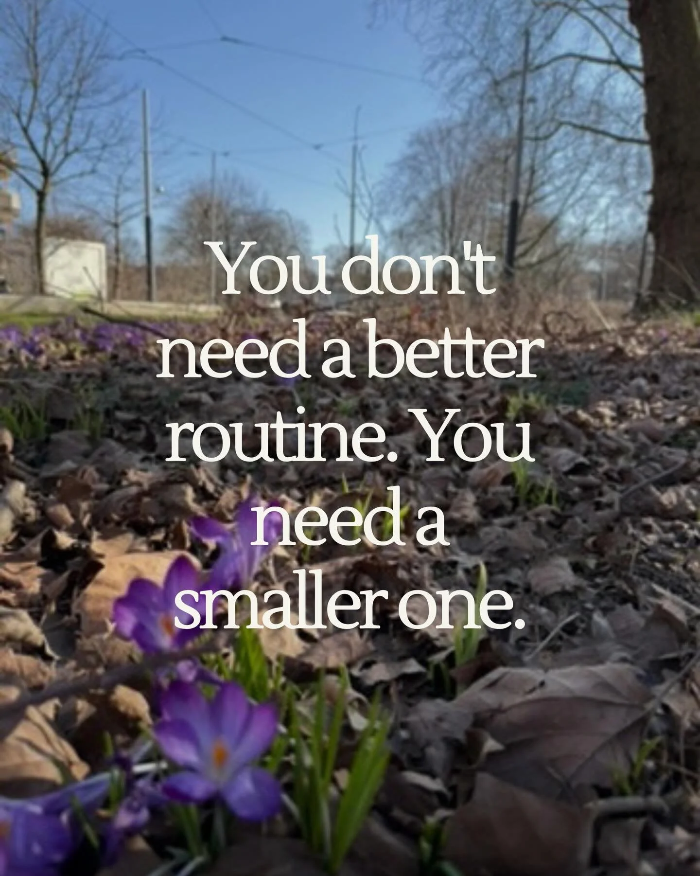 The all-or-nothing approach has never worked. Not for you, not for anyone.
Small and consistent will always win. Save this for the next time you feel like you need to &ldquo;start fresh on Monday.&rdquo;
What are you going to try? Tell me below.
#hab