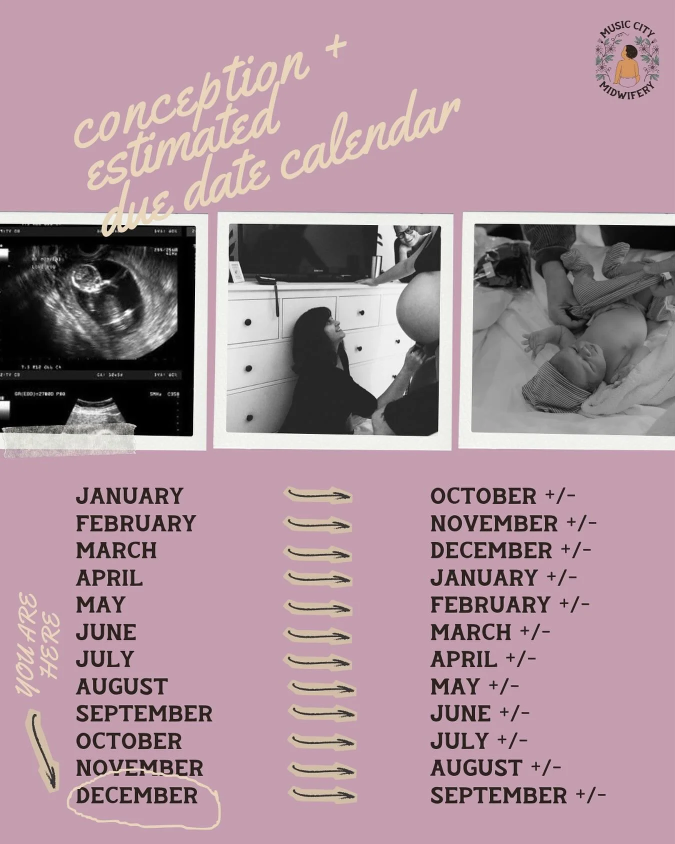 If you conceive this month, you&rsquo;ll likely be due in September, which is the most common birth month of the year. If you&rsquo;ll be having a Virgo baby, we recommend reaching out sooner than later to get in our calendar. 

We included a +/e nex