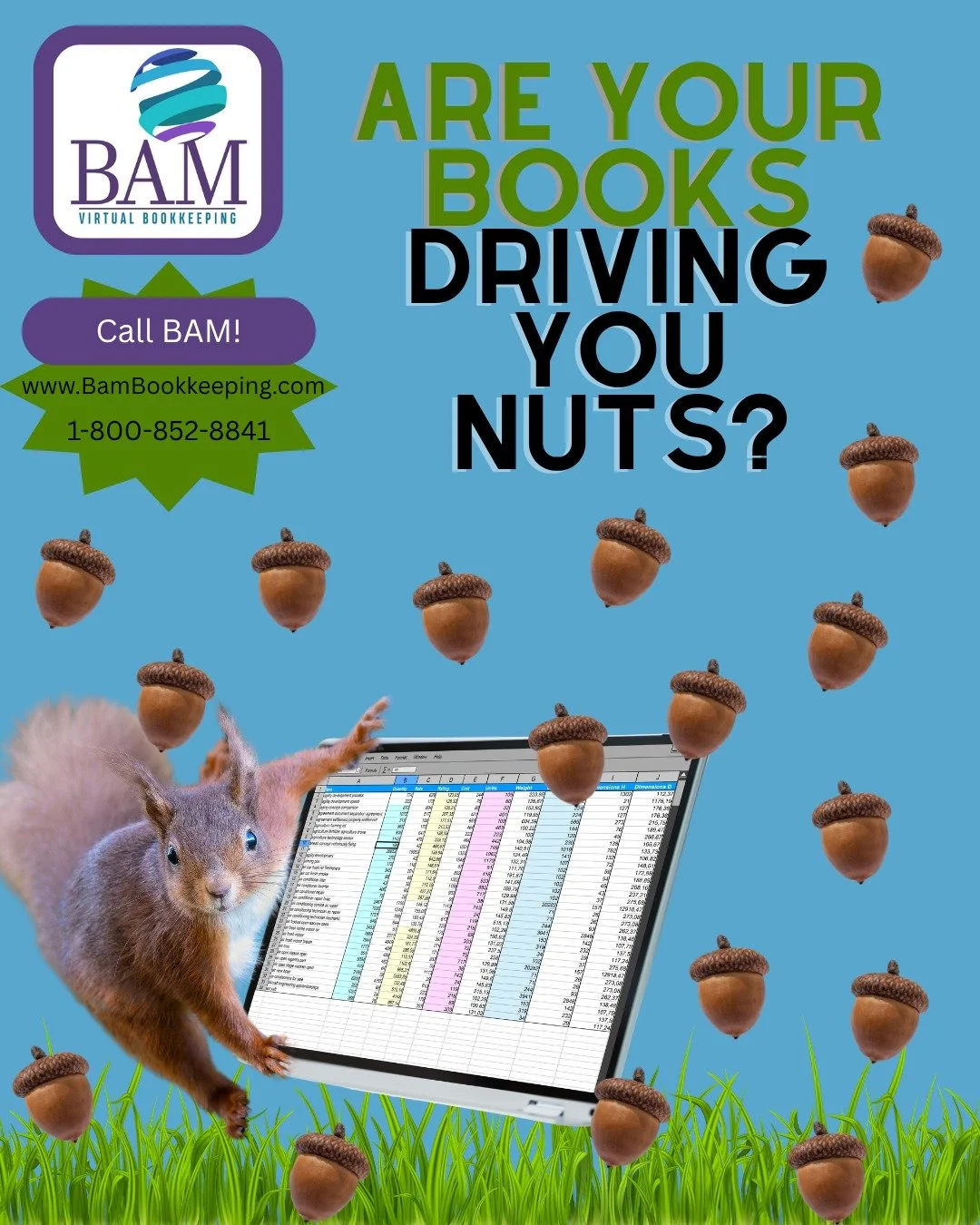 🐿️ Are your books driving you nuts?
Stop squirreling around trying to keep up with receipts, invoices, payroll, and taxes all on your own. 🌰📚
At BAM Bookkeeping, we help business owners get organized, stay on track, and finally feel confident abou