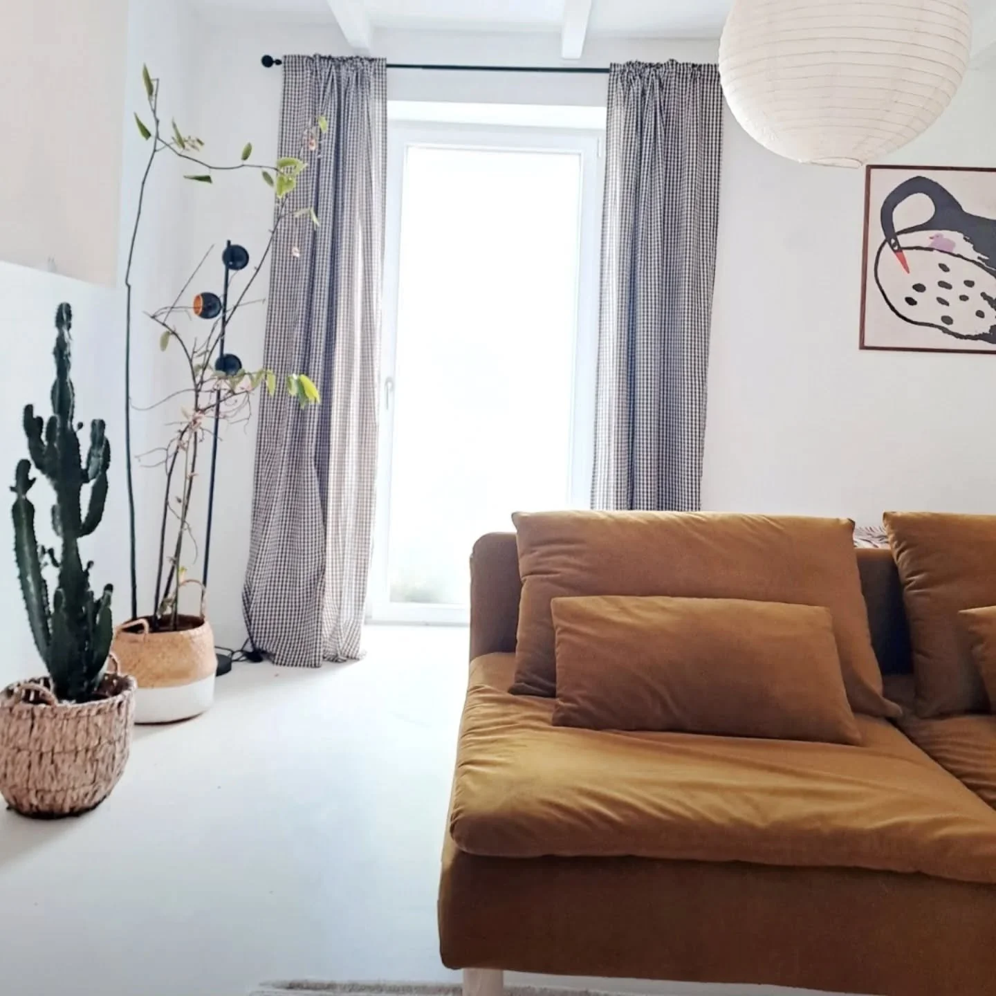 Finaly Turmeric 💛💚