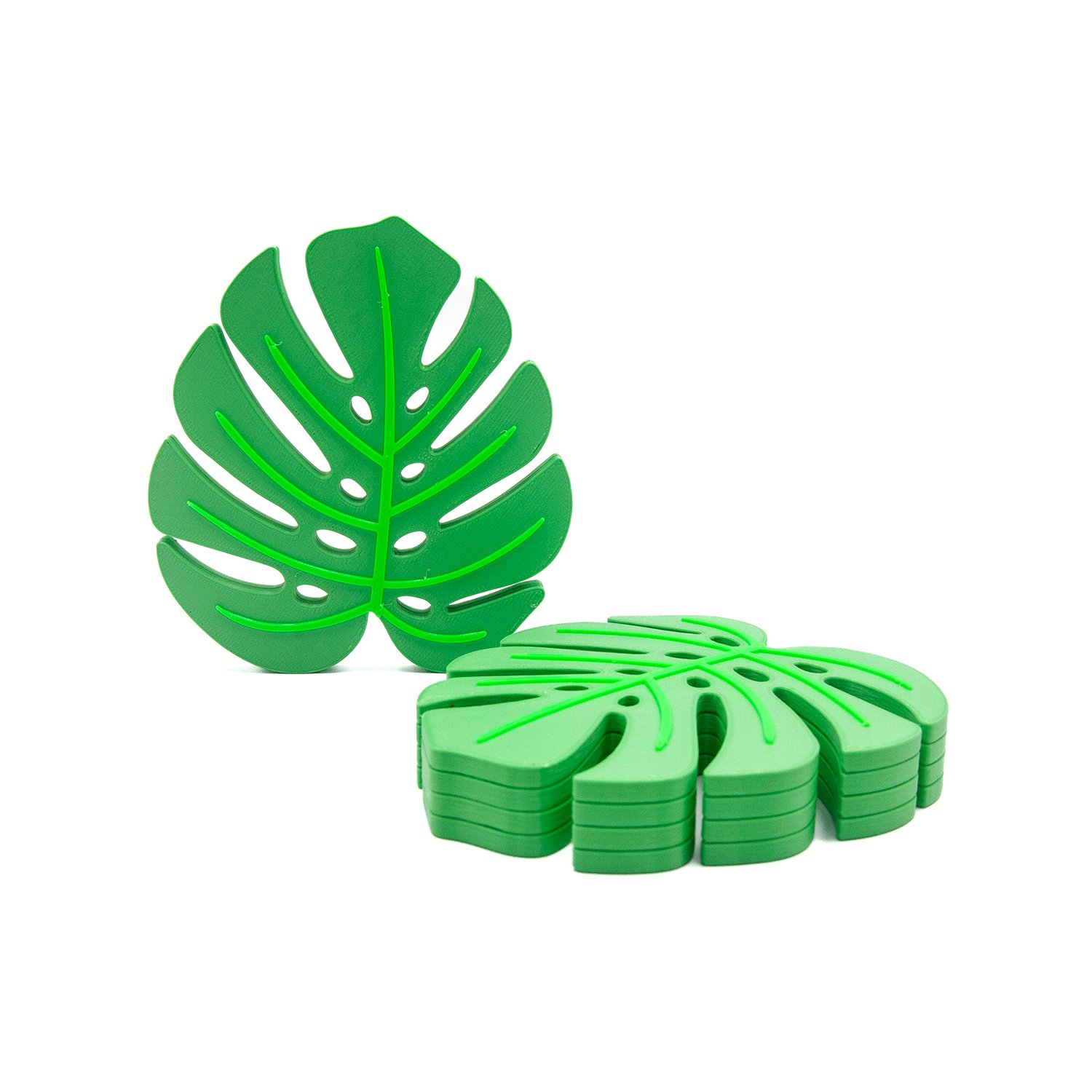 monstera-coaster-1-1-01.jpg