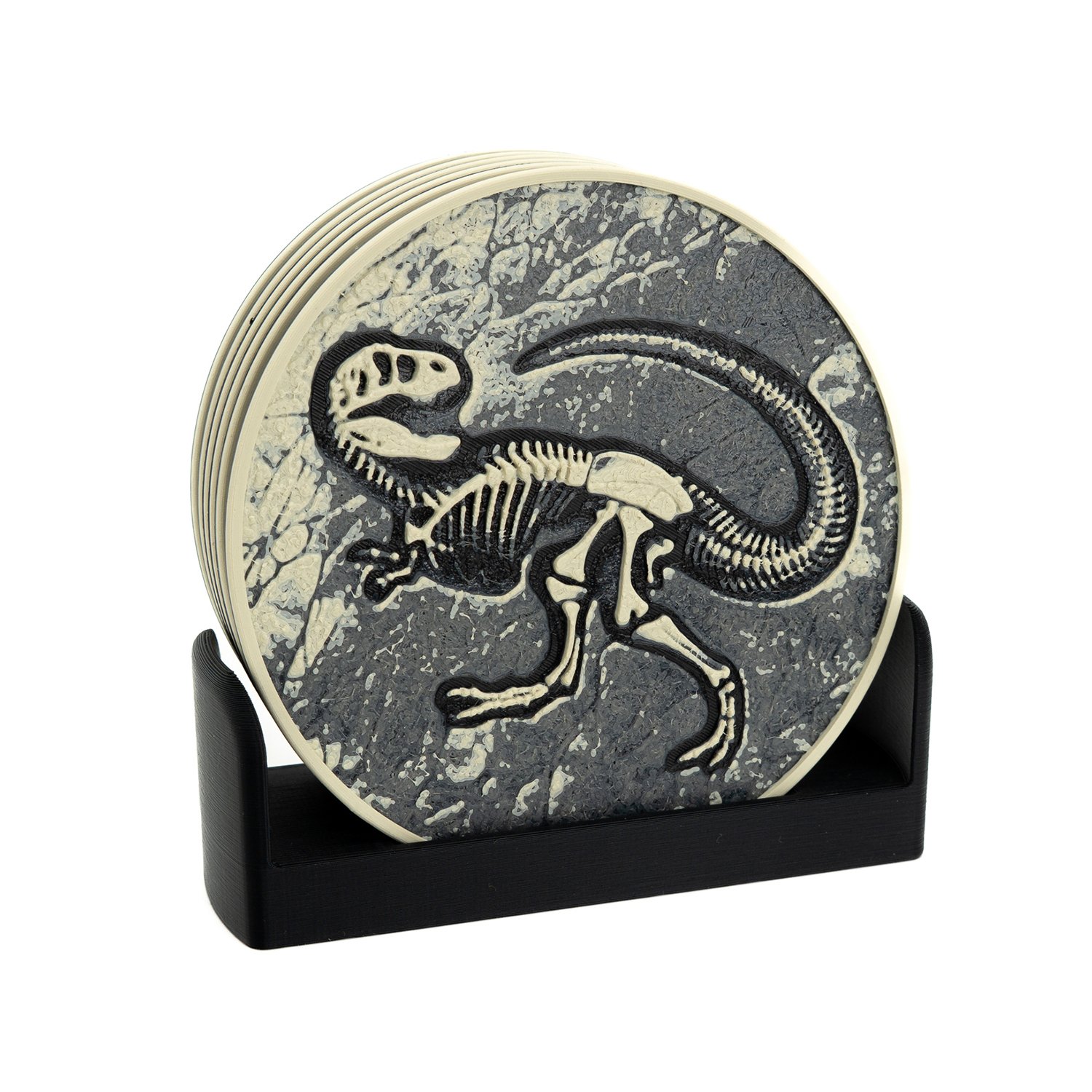 fossil-coaster-1-1-03.jpg