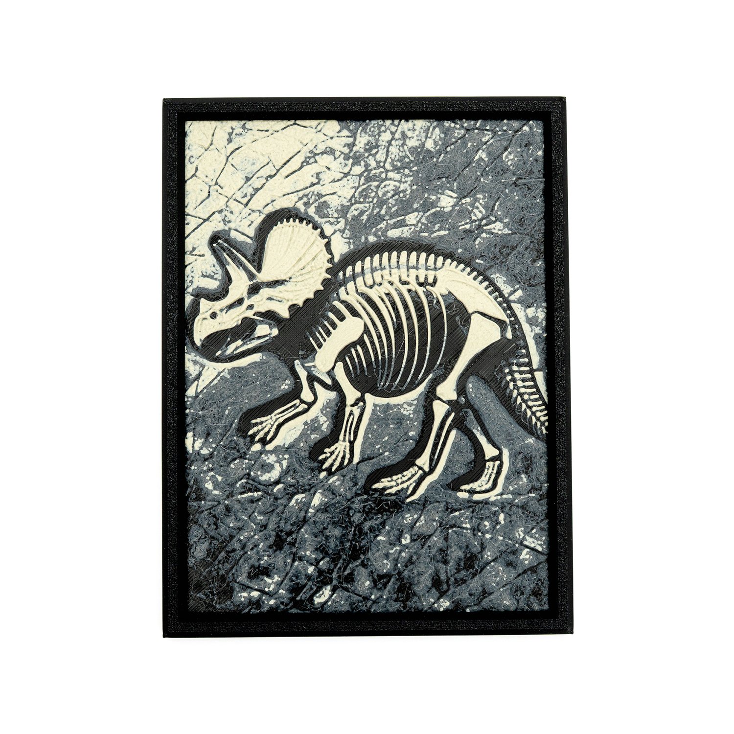 dino-fossil-frame-1-1-03.jpg