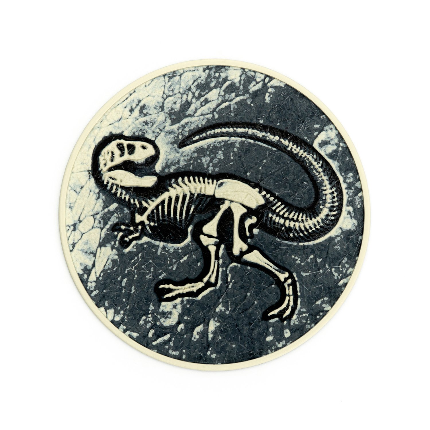 fossil-coaster-1-1-07.jpg