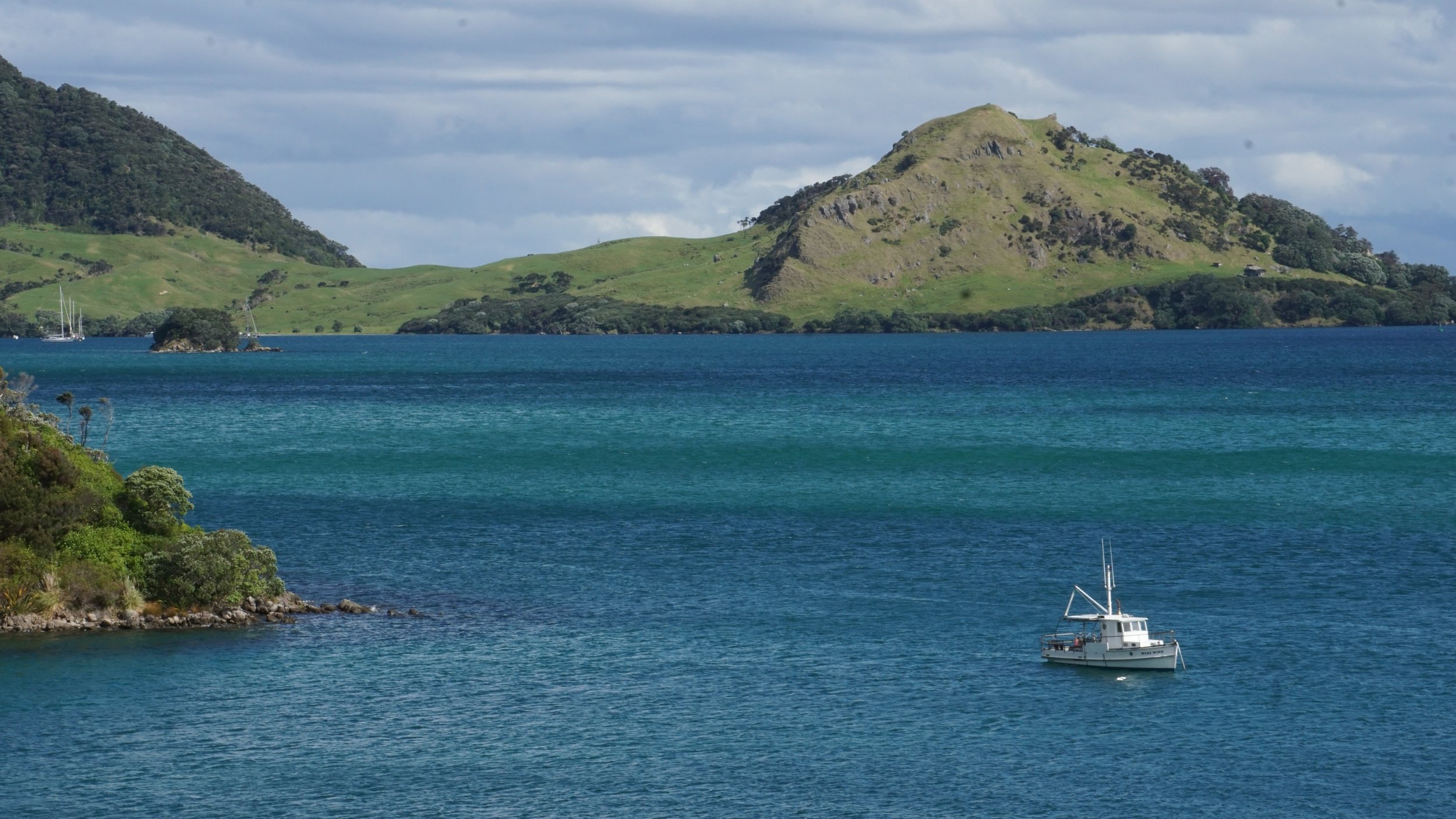 DSC07516.jpg