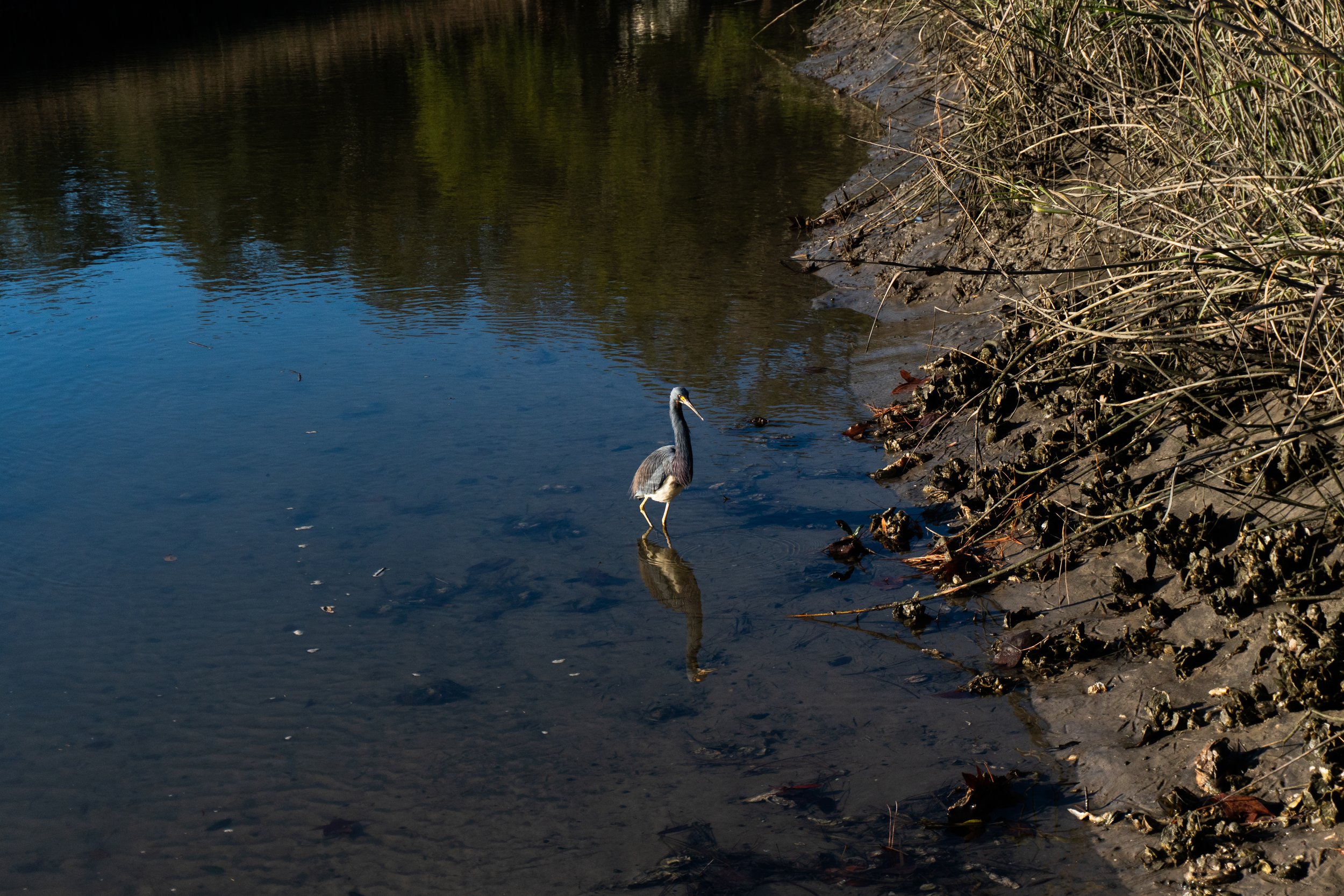DSC06107.jpg
