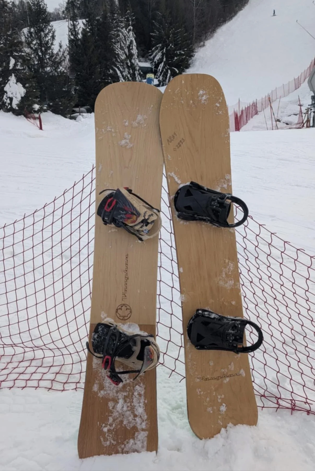 Erinie  and Alex board.jpg