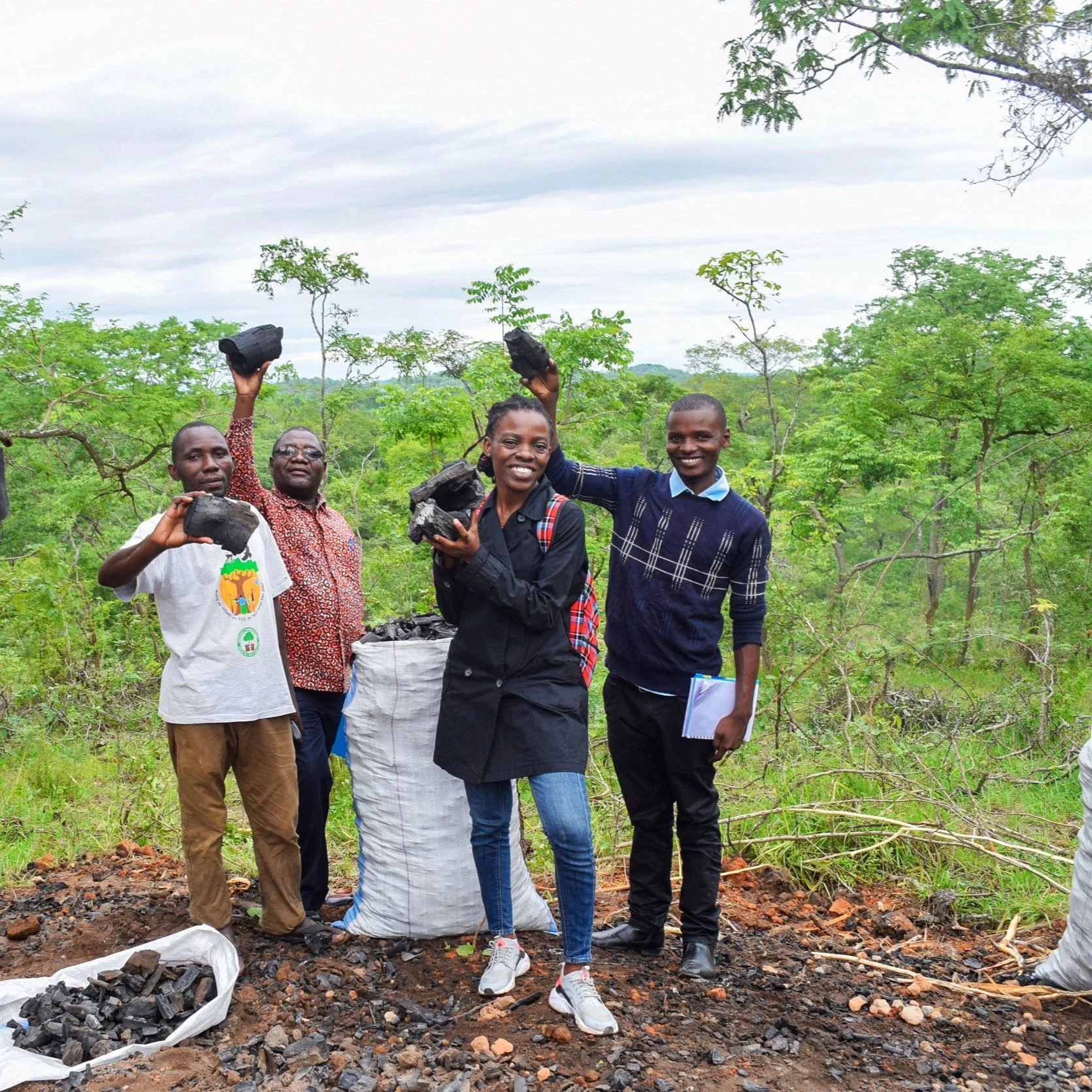 African Collaborative Sector Portfolios: Empowering African-Led ...