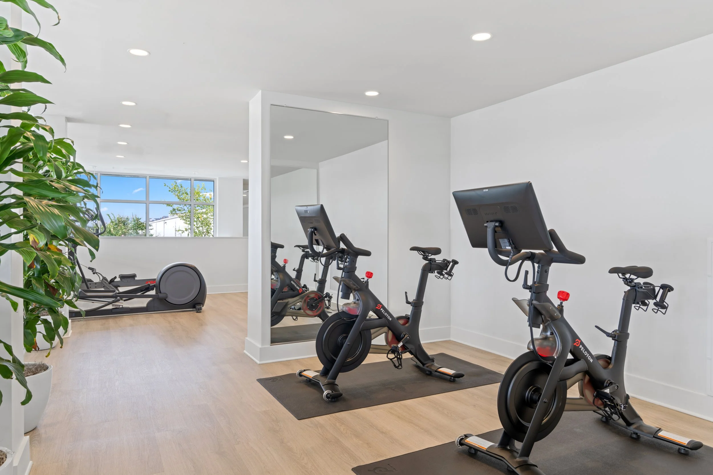 The_Guild_Fitness_Center-109403.jpg