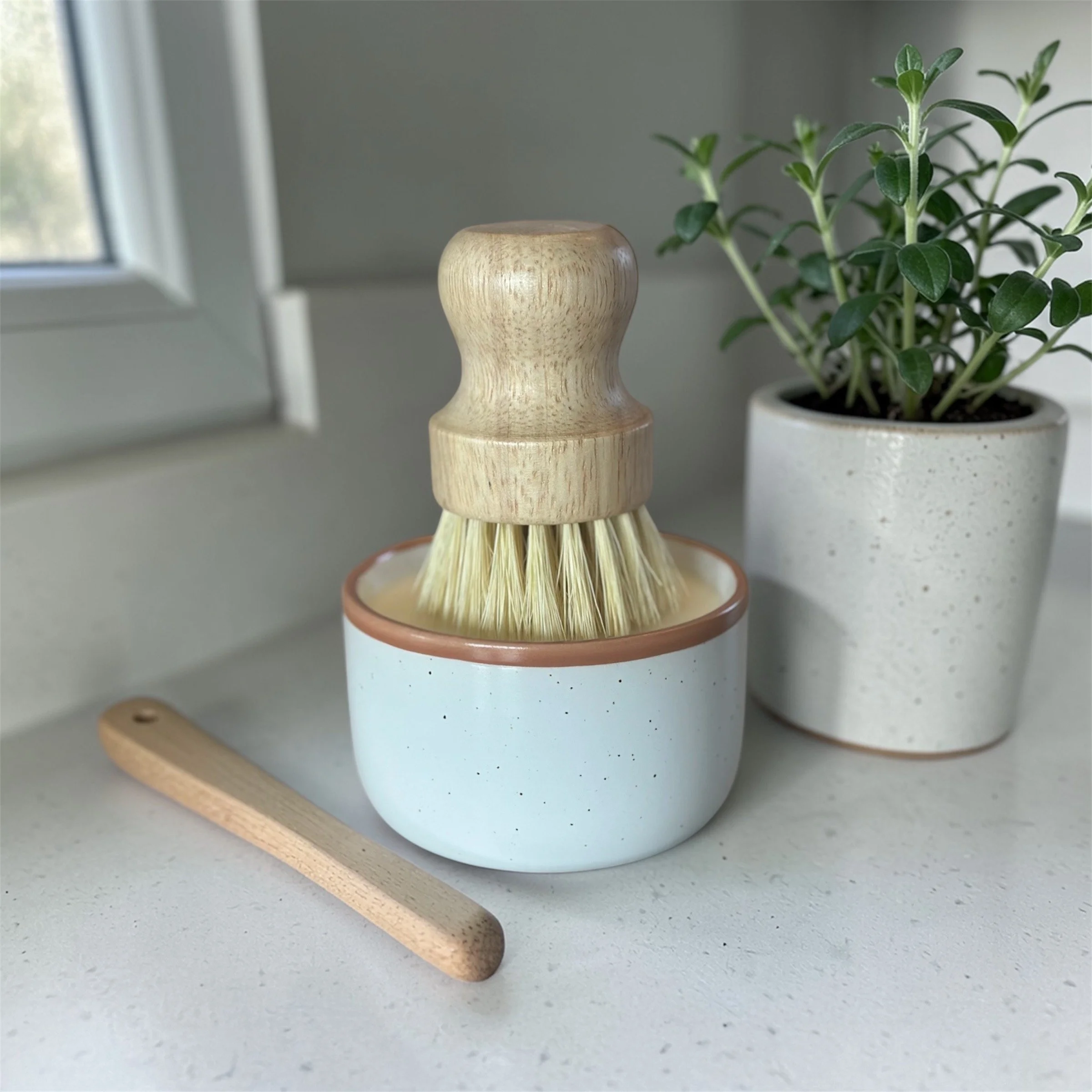 Lemon Eucalyptus Solid Dish Soap Set