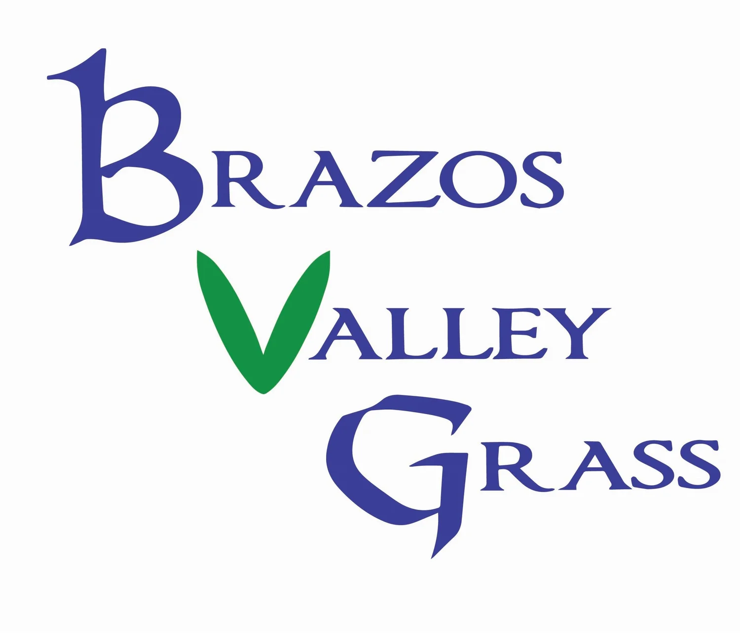Brazos Valley Grass