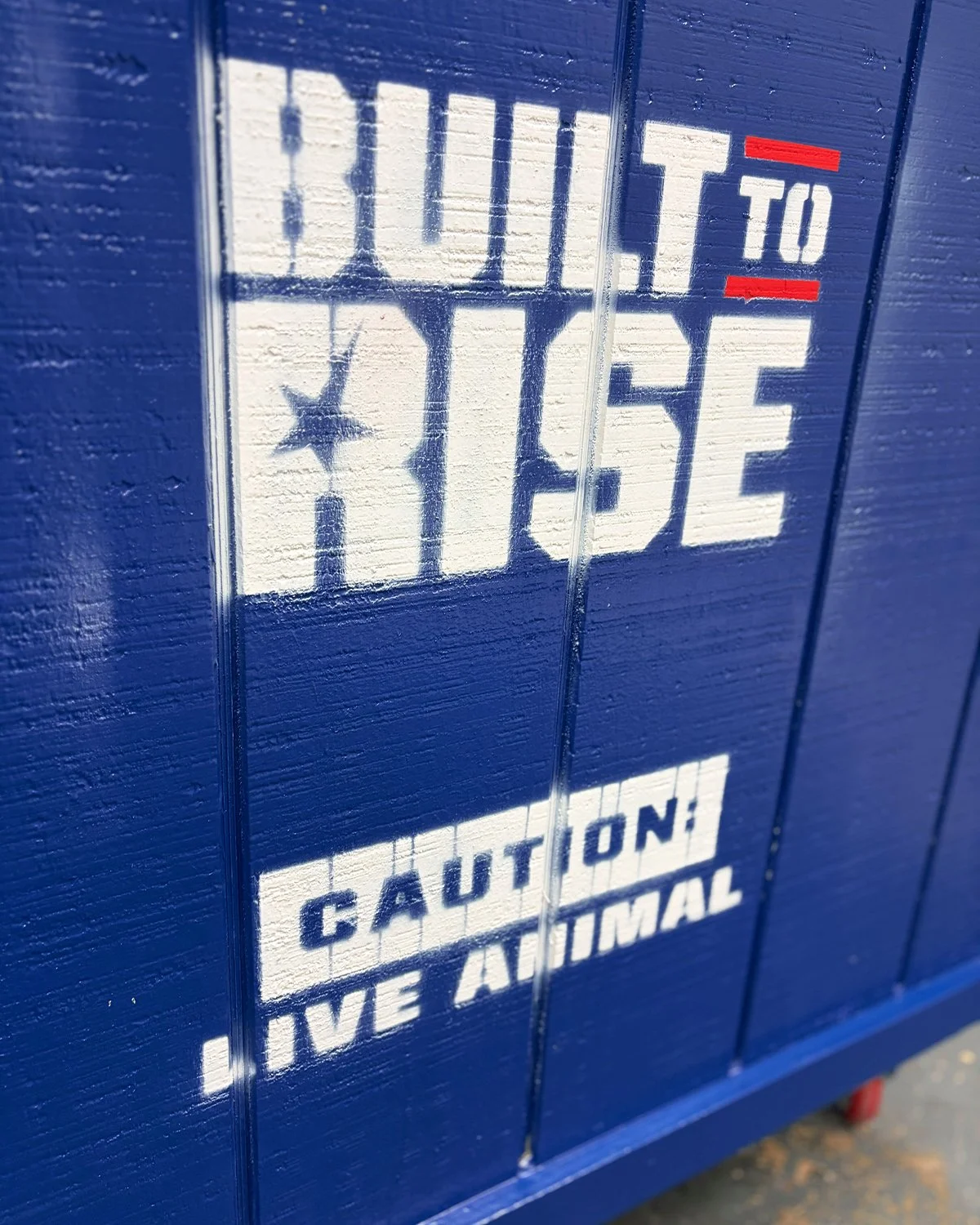 RD_AAC_CRATE_03.jpg
