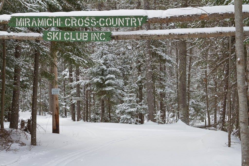 Miramichi Cross Country Ski club.jpg
