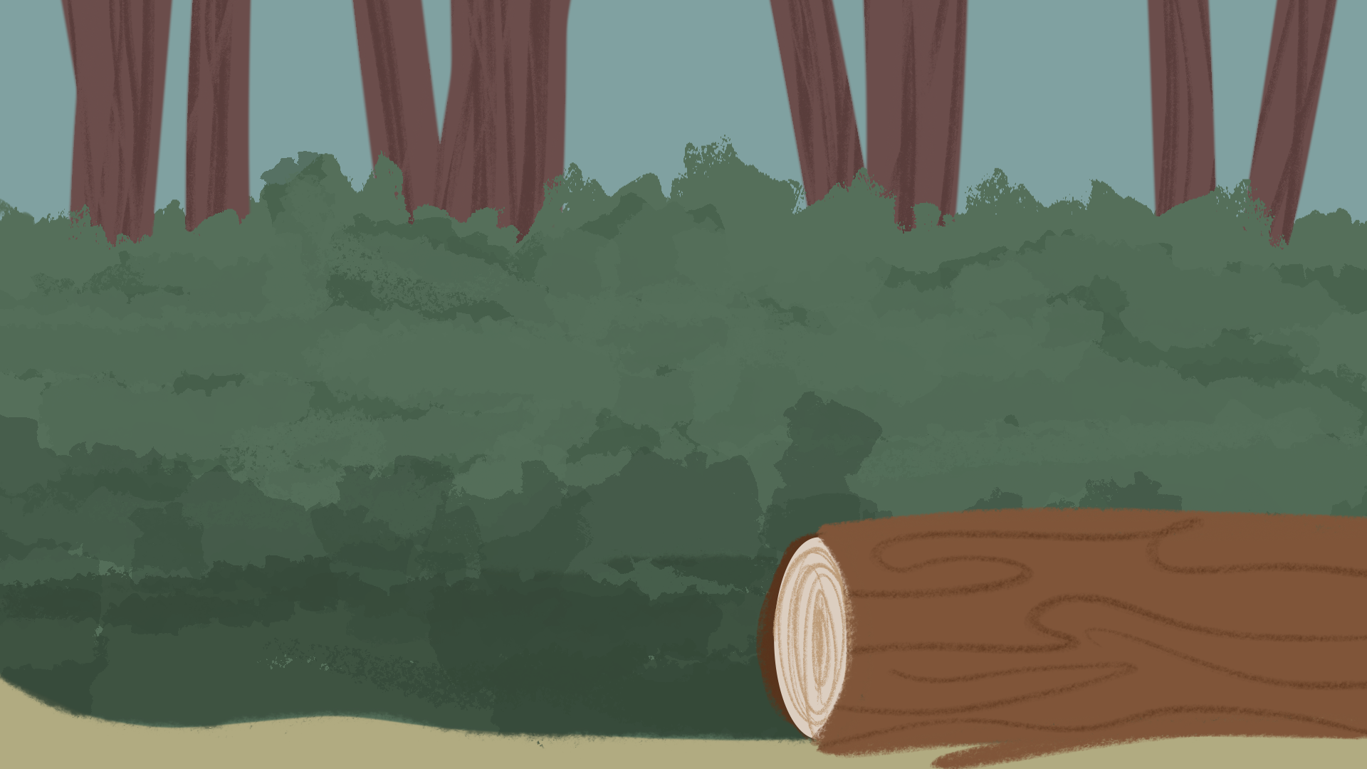 IMG_1385.png