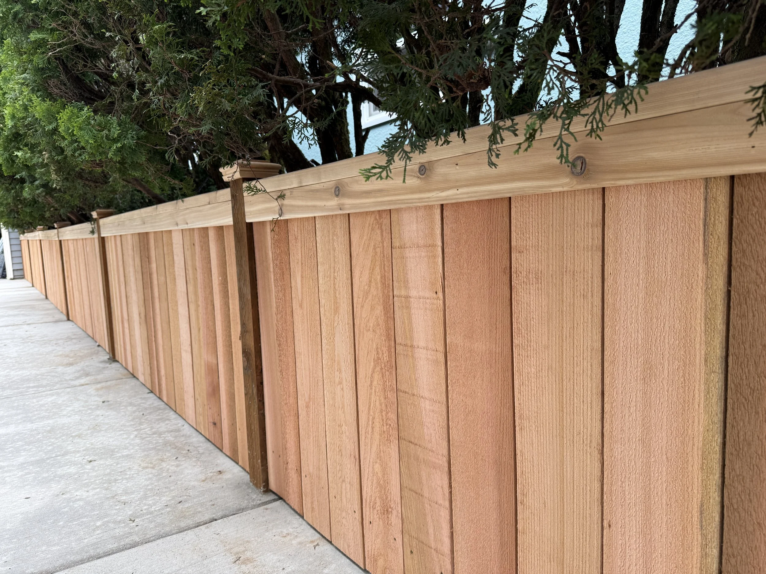 Premium cedar privacy fence with cap-and-trim design, featuring clear cedar pickets, decorative post caps, and exposed stained posts along a residential property in Portland, Oregon.
