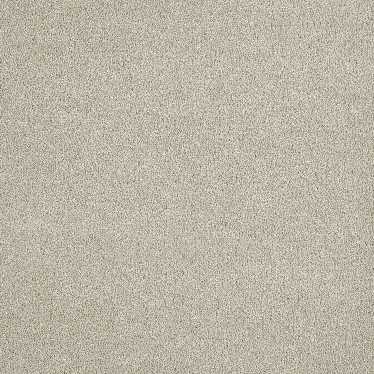 Close-up of a textured beige carpet surface.