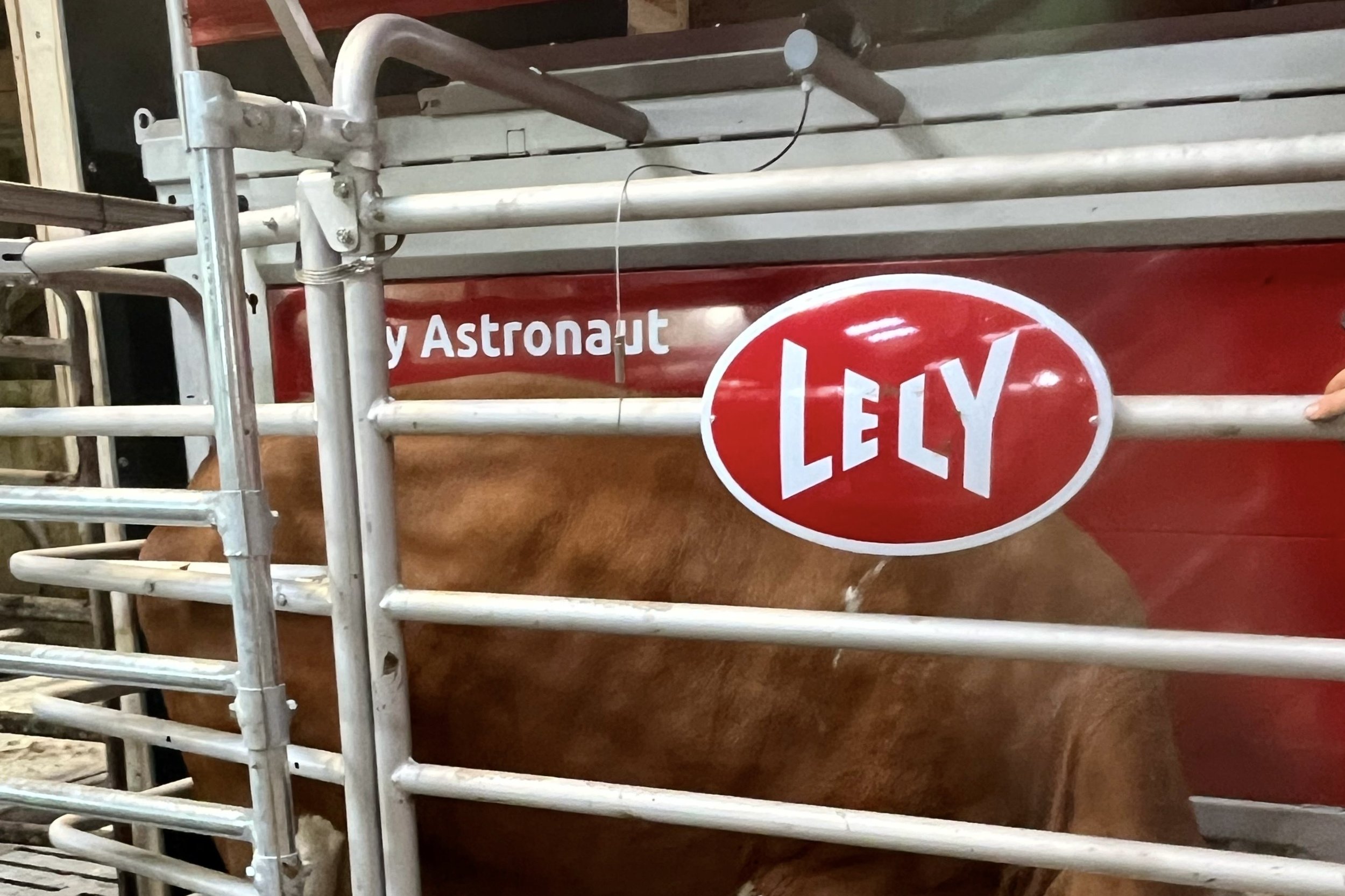 Unsere Melkmaschine von Lely für unsere Milchkühe