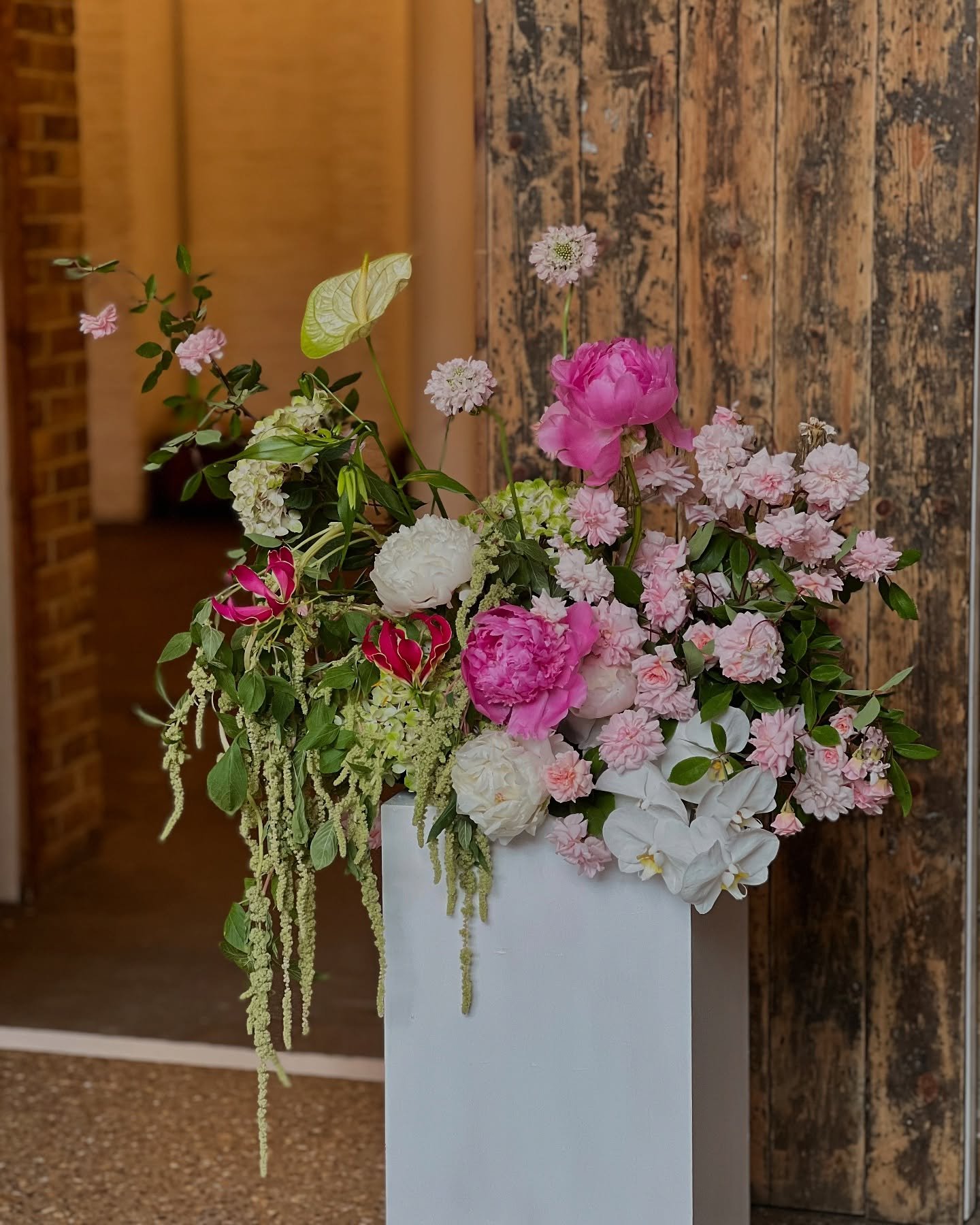 🌿🦢🌸

@100barrington 
@sabelfood