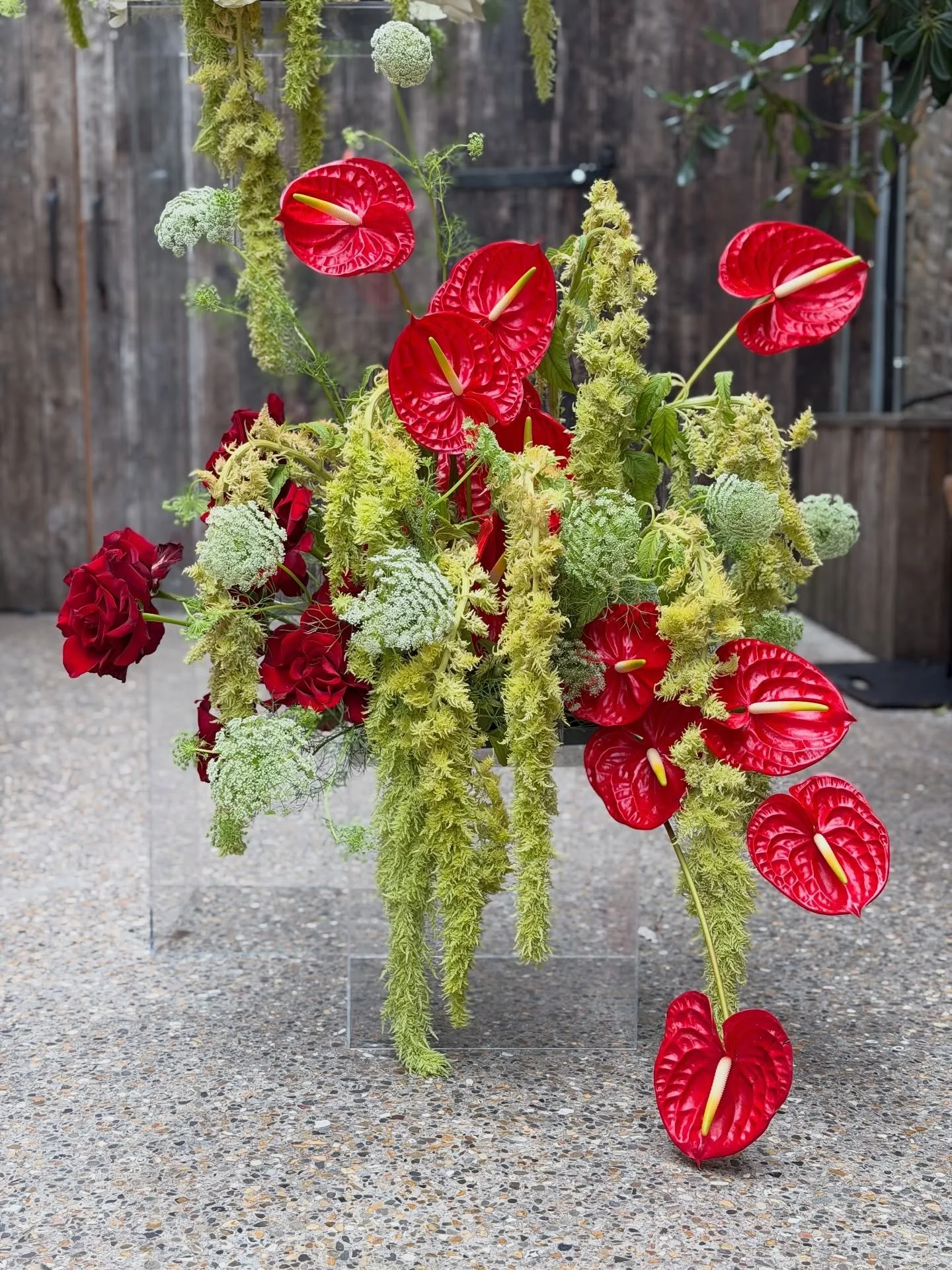 Continuation of the RED.
Here with abundance of Amaranthus, Ammi, Anthuriums and reflexed Roses 🥀 
Venue @100barrington 
For Charlotte and Mike