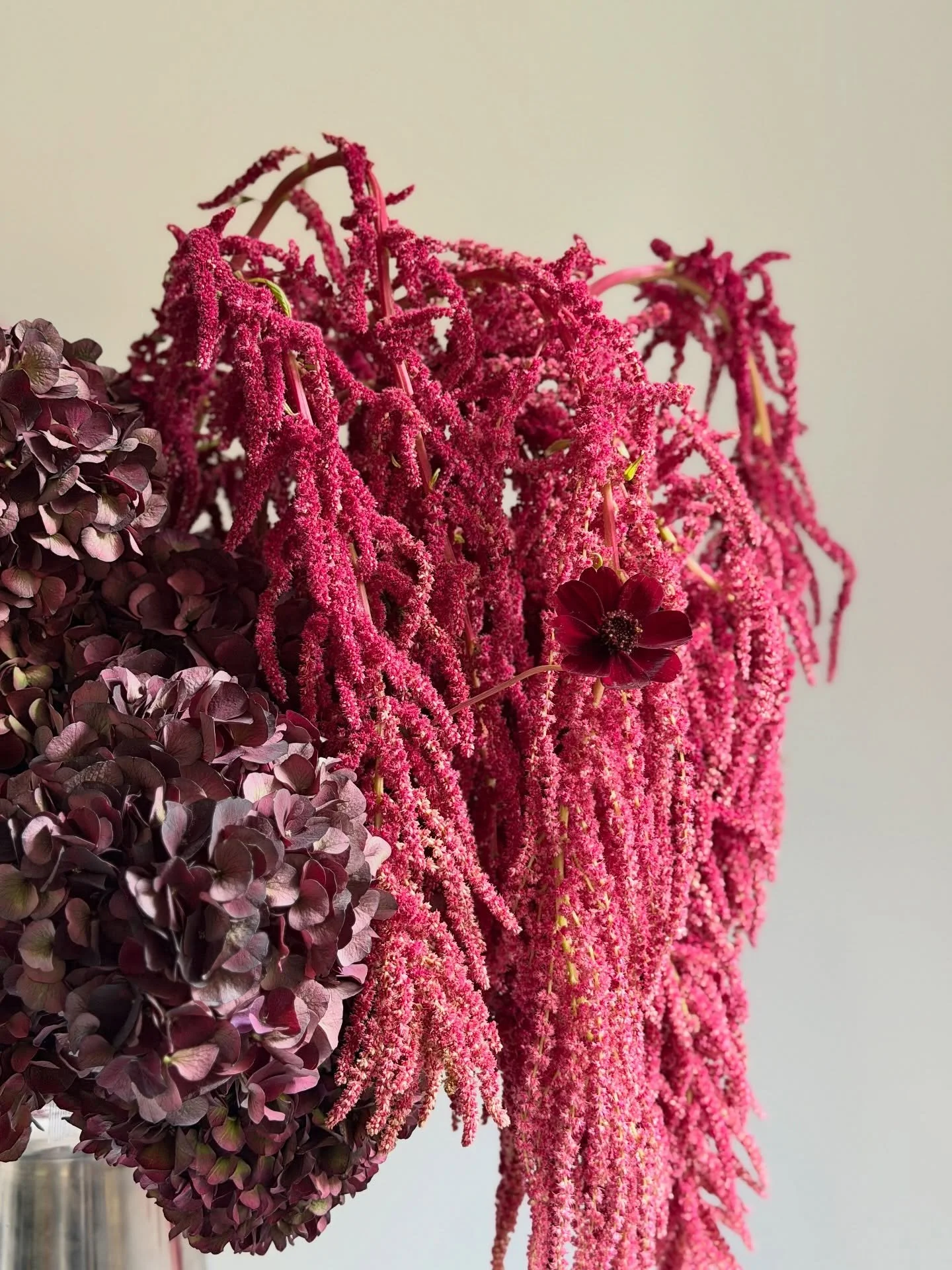 Colour of the season: ♥️🌹🍒🦑🍷🐦‍🔥