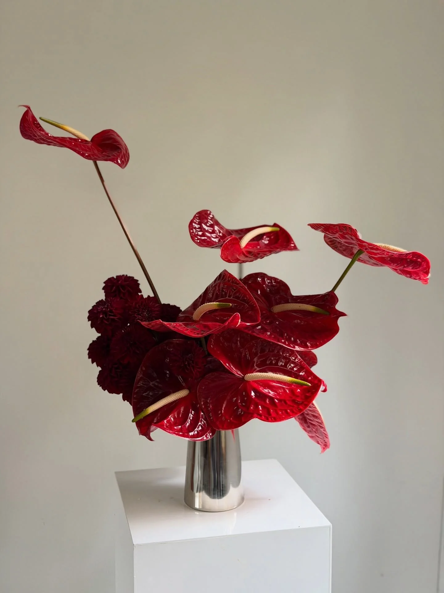 Ok, let’s go with yet another ♥️👹🥀🦑🌹🌶️
anthuriums and dahlias
for @astridandmiyu x