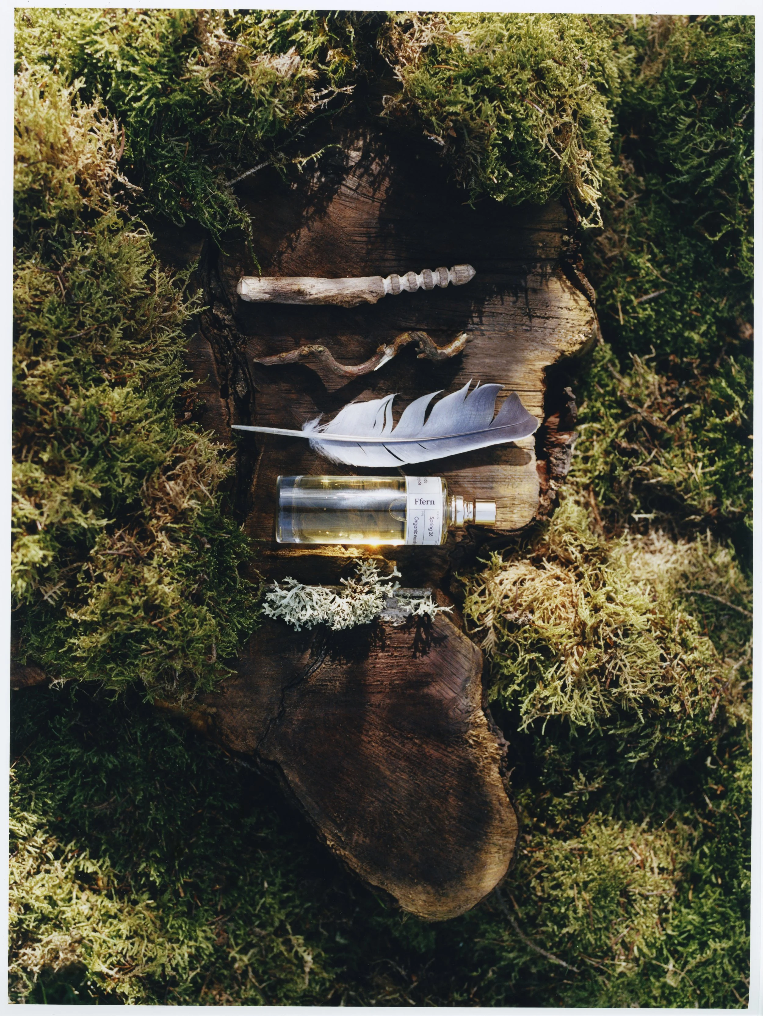 Ffern Spring 2026 campaign florals
