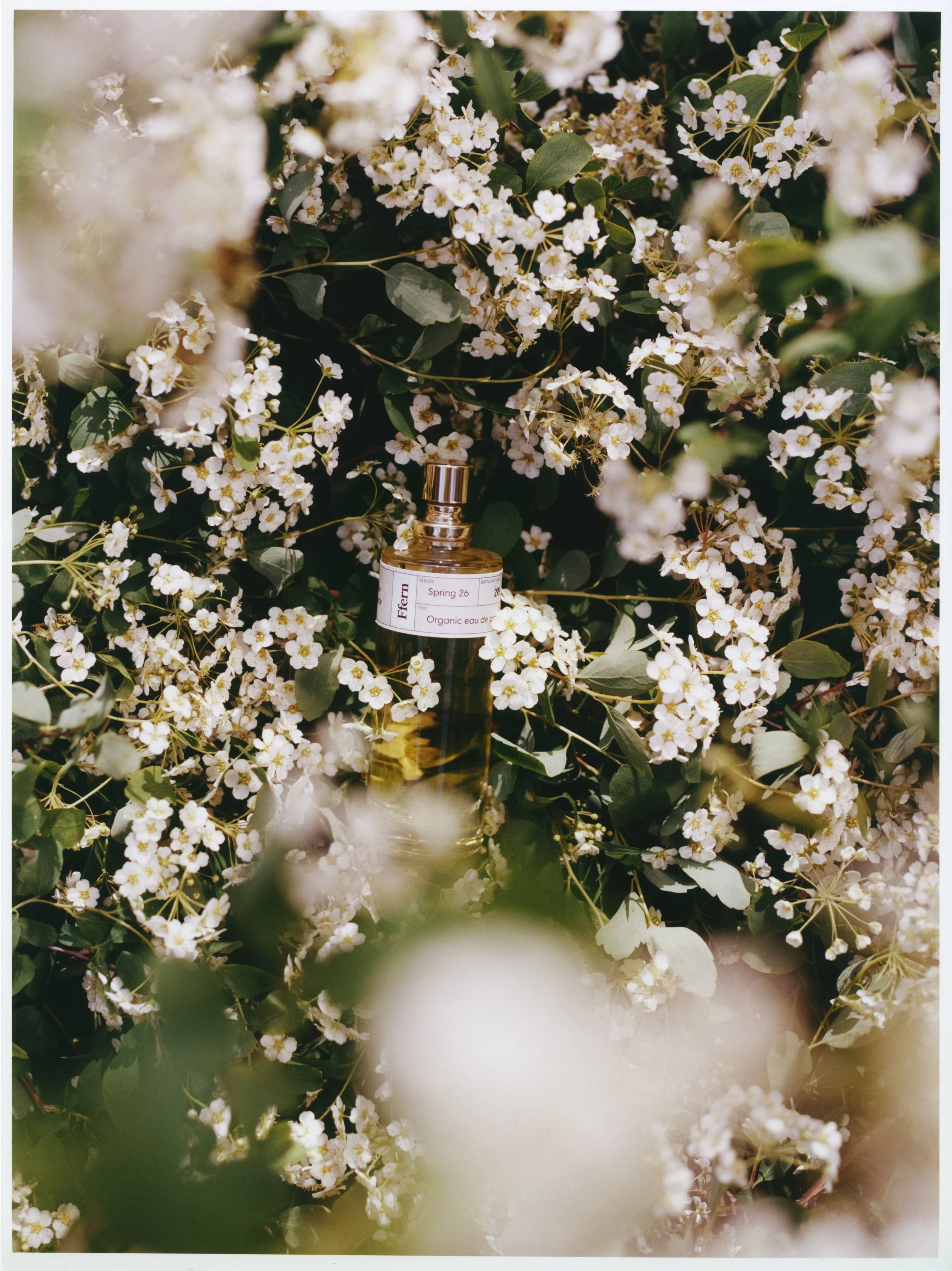 Ffern Spring 2026 campaign florals