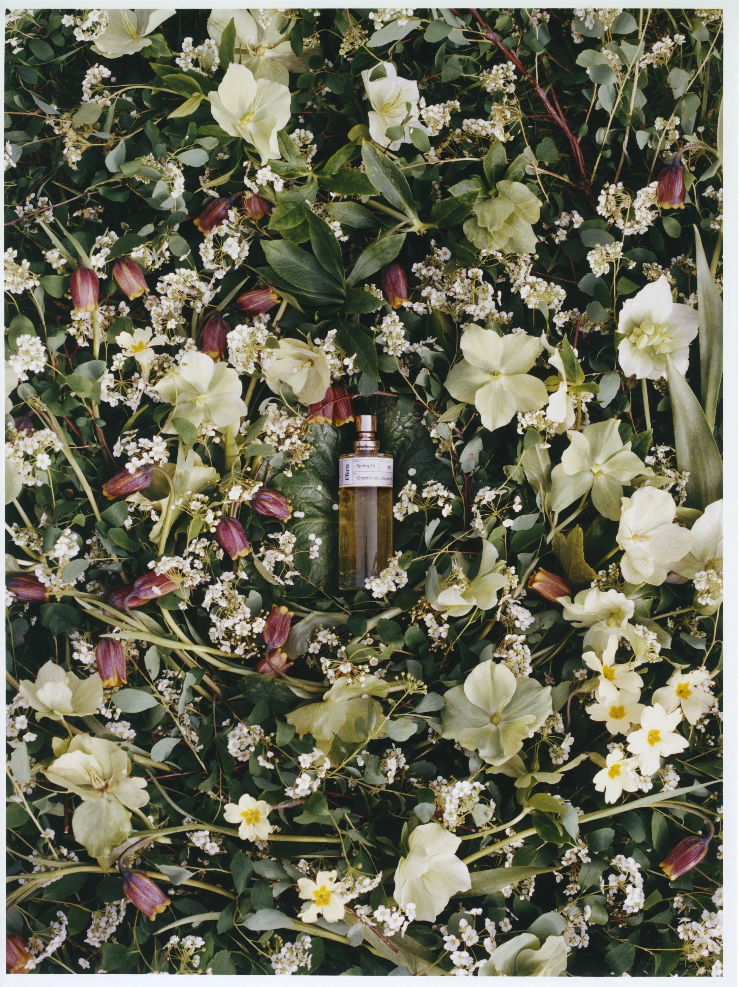 Ffern Spring 2026 campaign florals