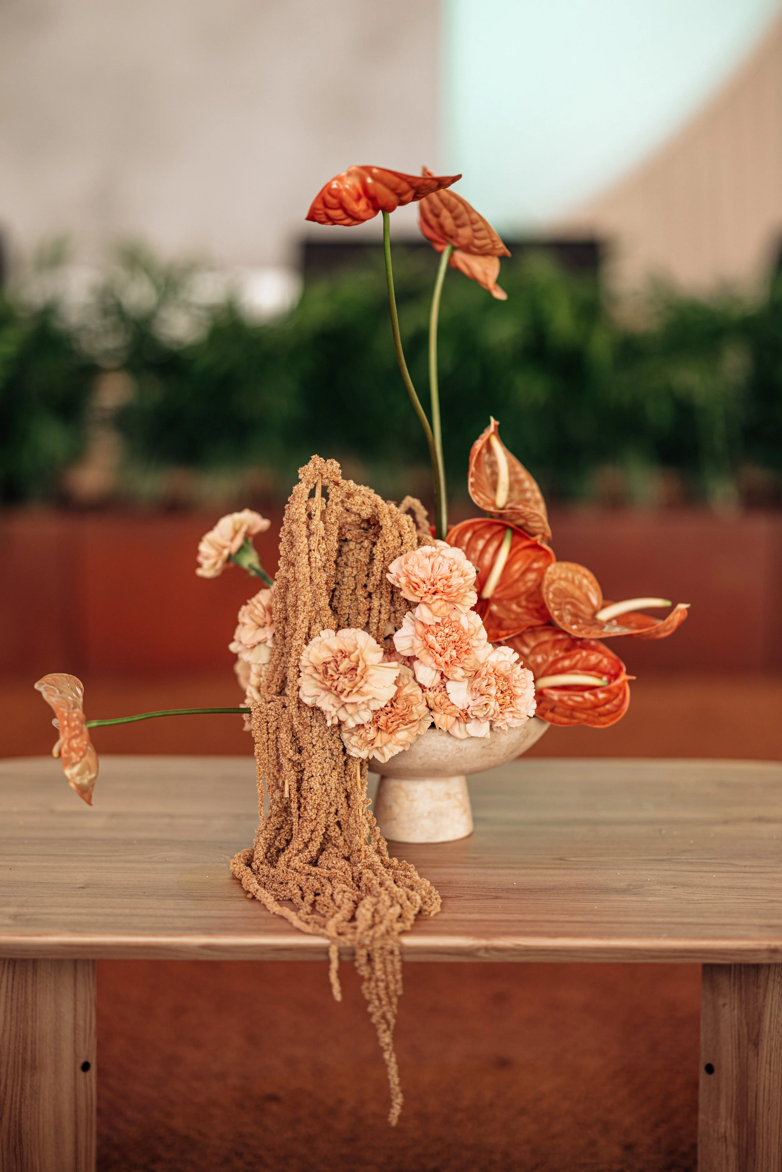 J11254-CC-Audi X Wilderness- Photos -037 copy.jpg