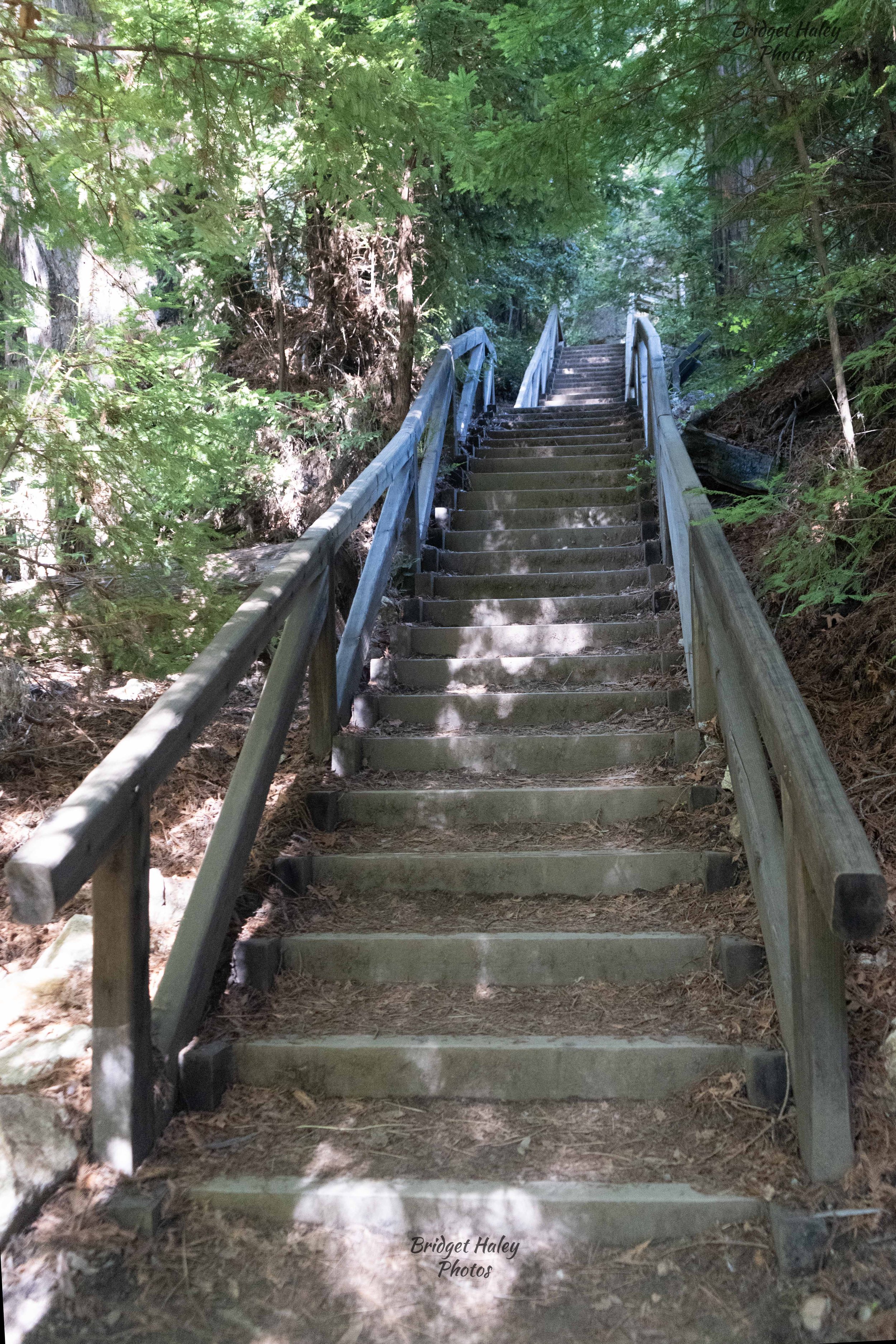 Pfeiffer Falls Trail