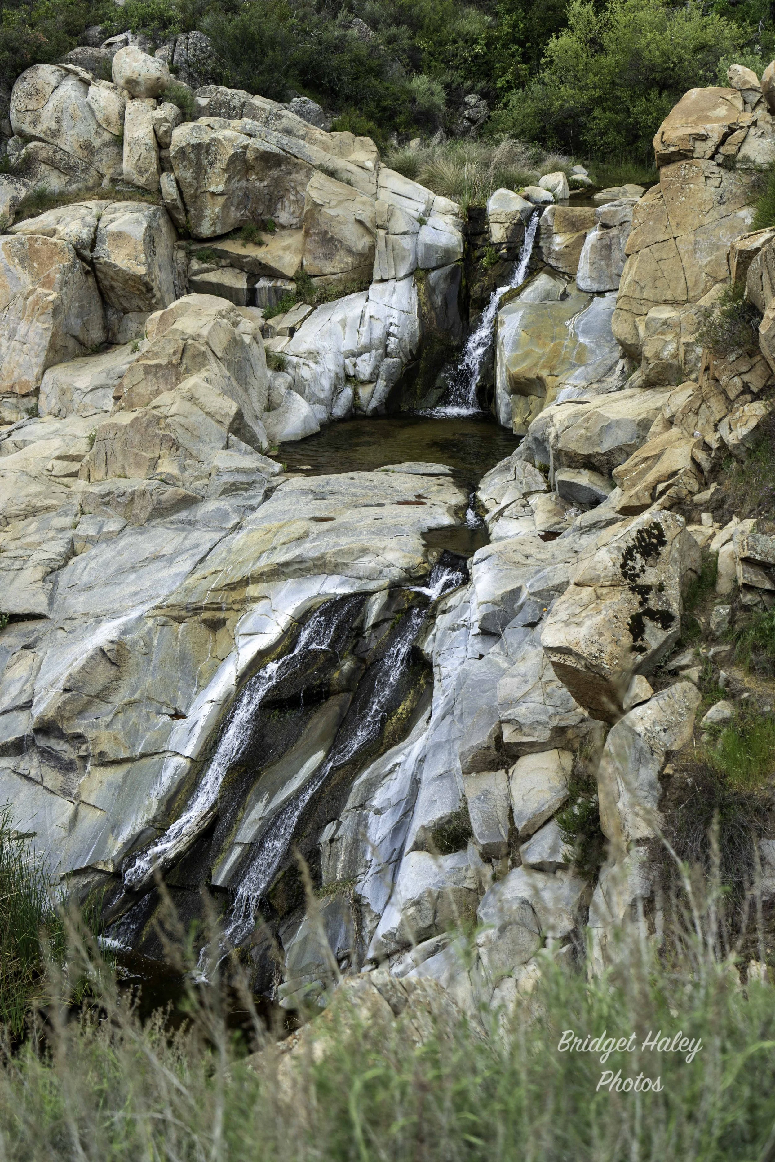 Hidden Beauty in Lake Elsinore