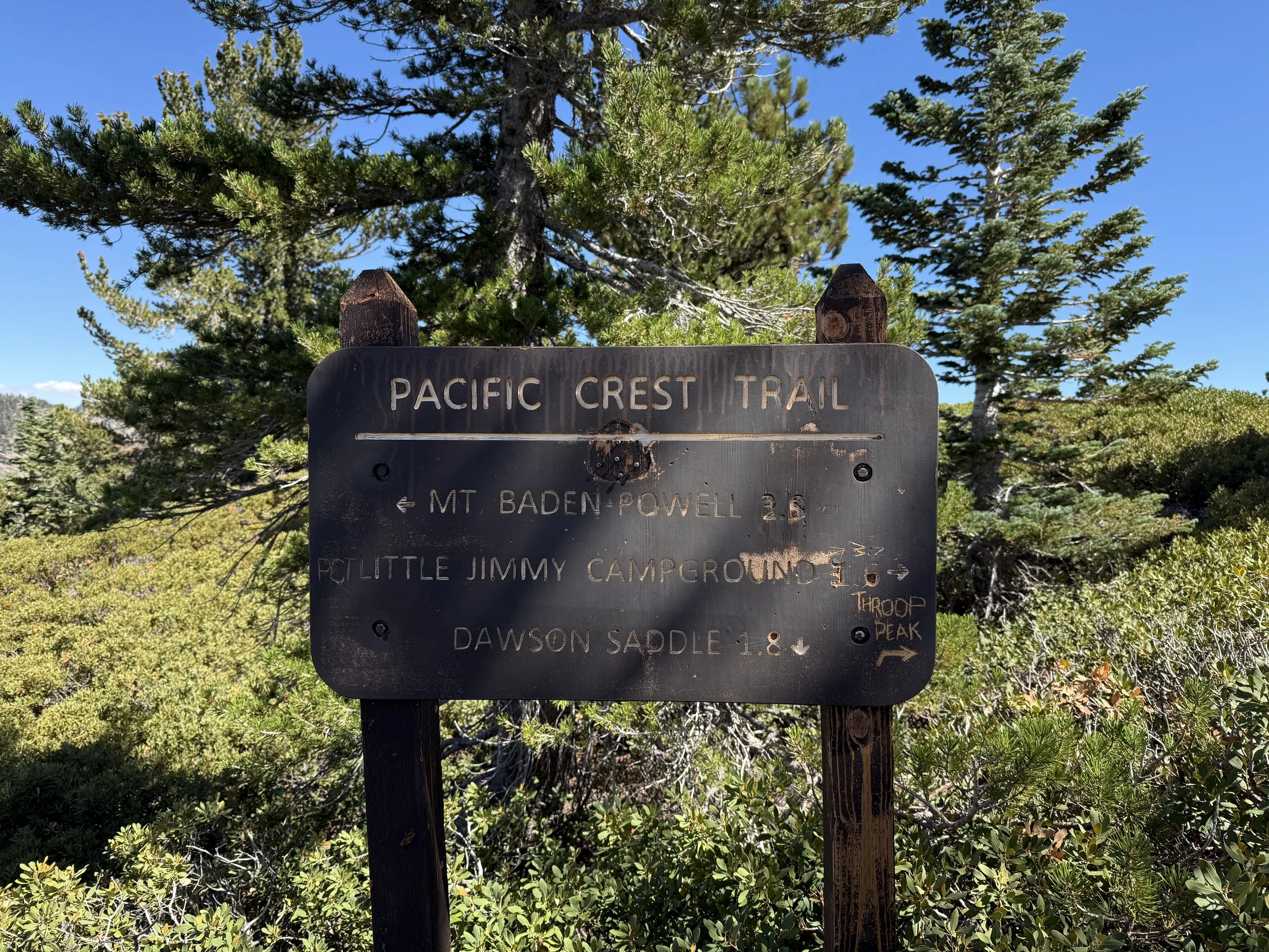 IMG_0113.jpeg