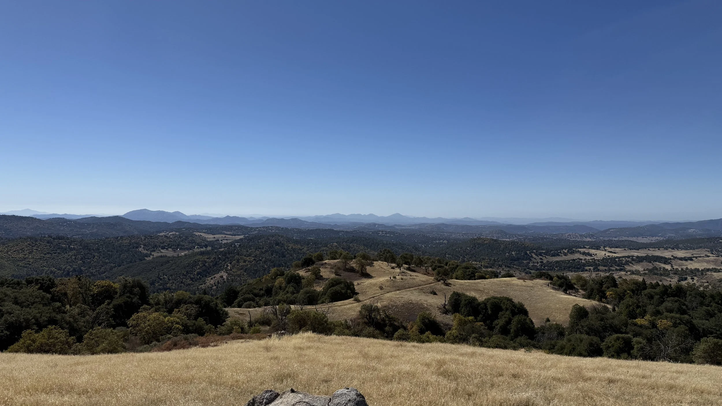 IMG_0347.jpeg