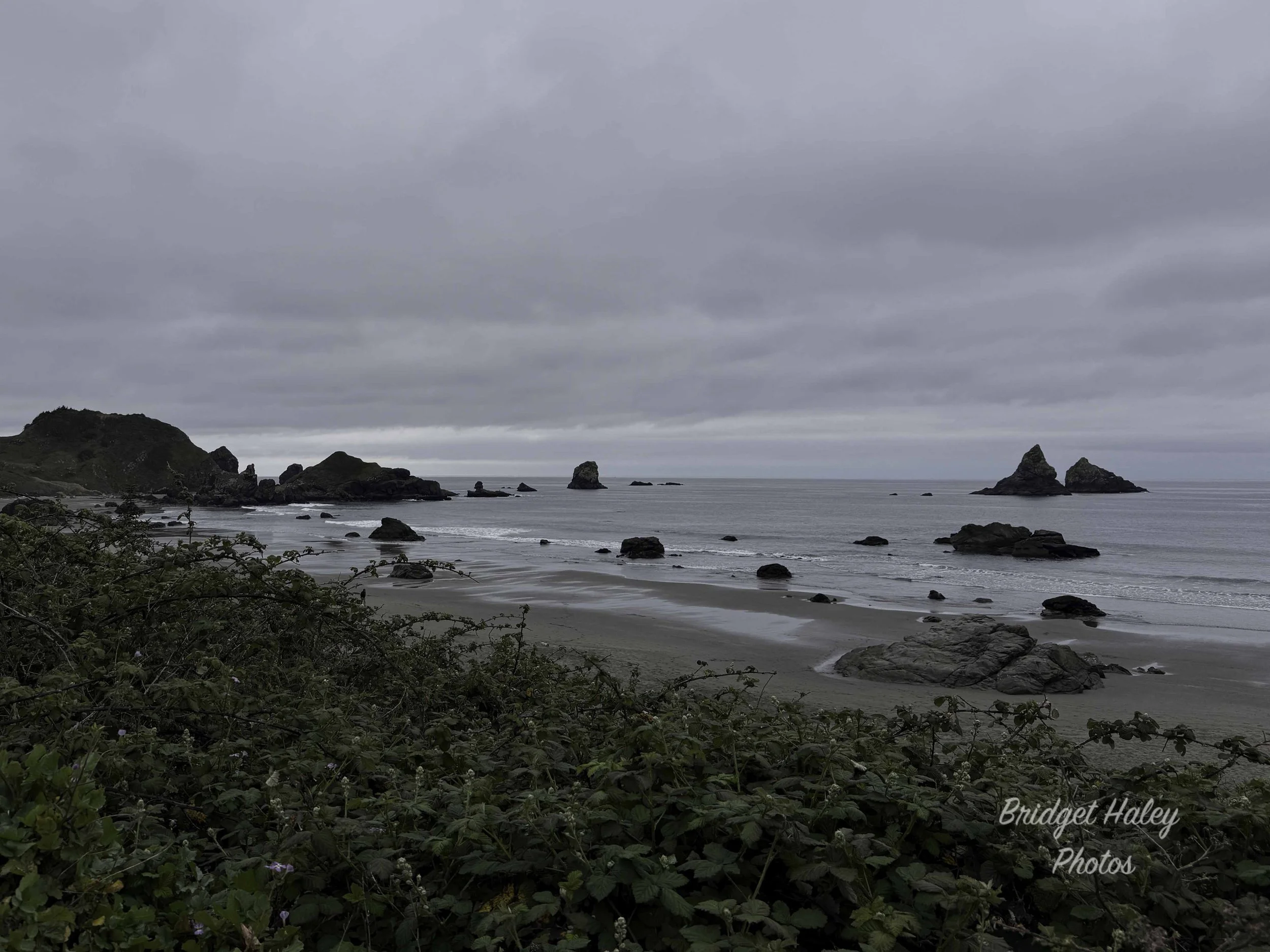 IMG_1877w.jpg