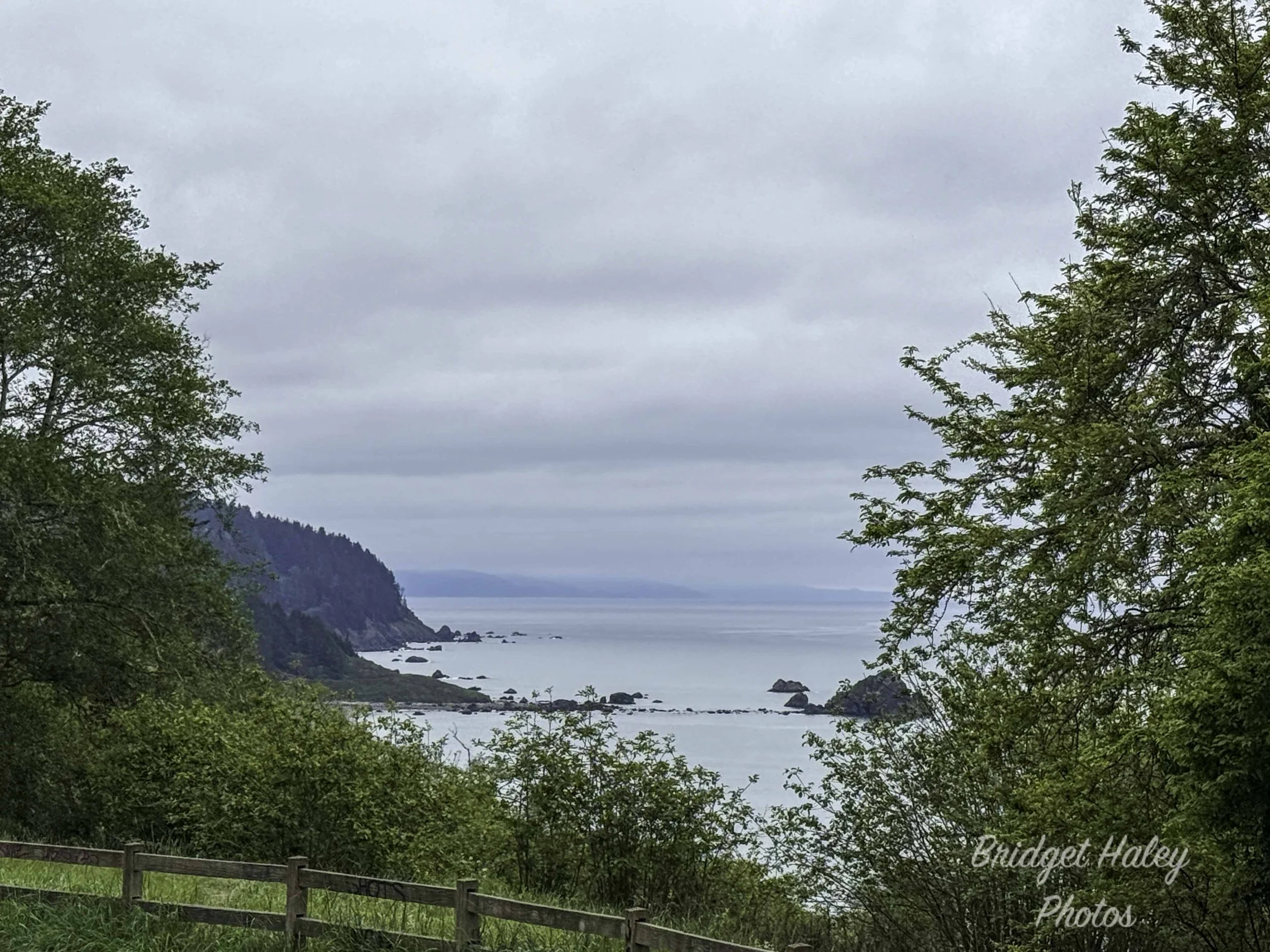 West Coast Wanderings Day Four: The "Short" Hike That Wasn't