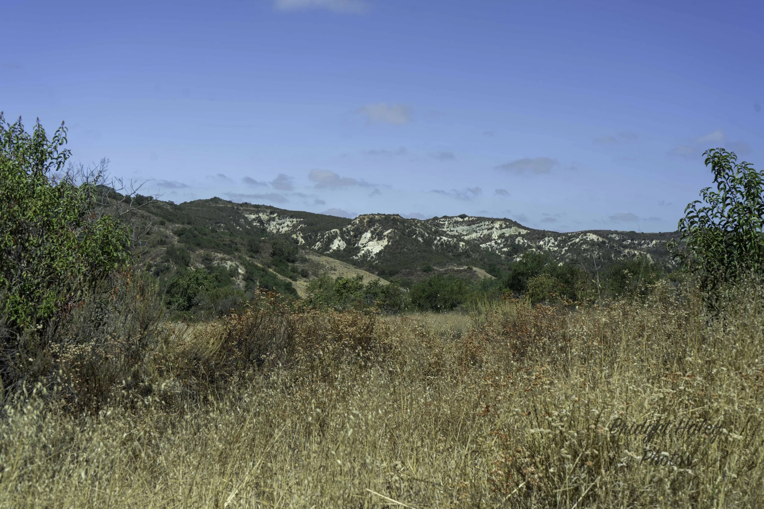 A7400367w.jpg