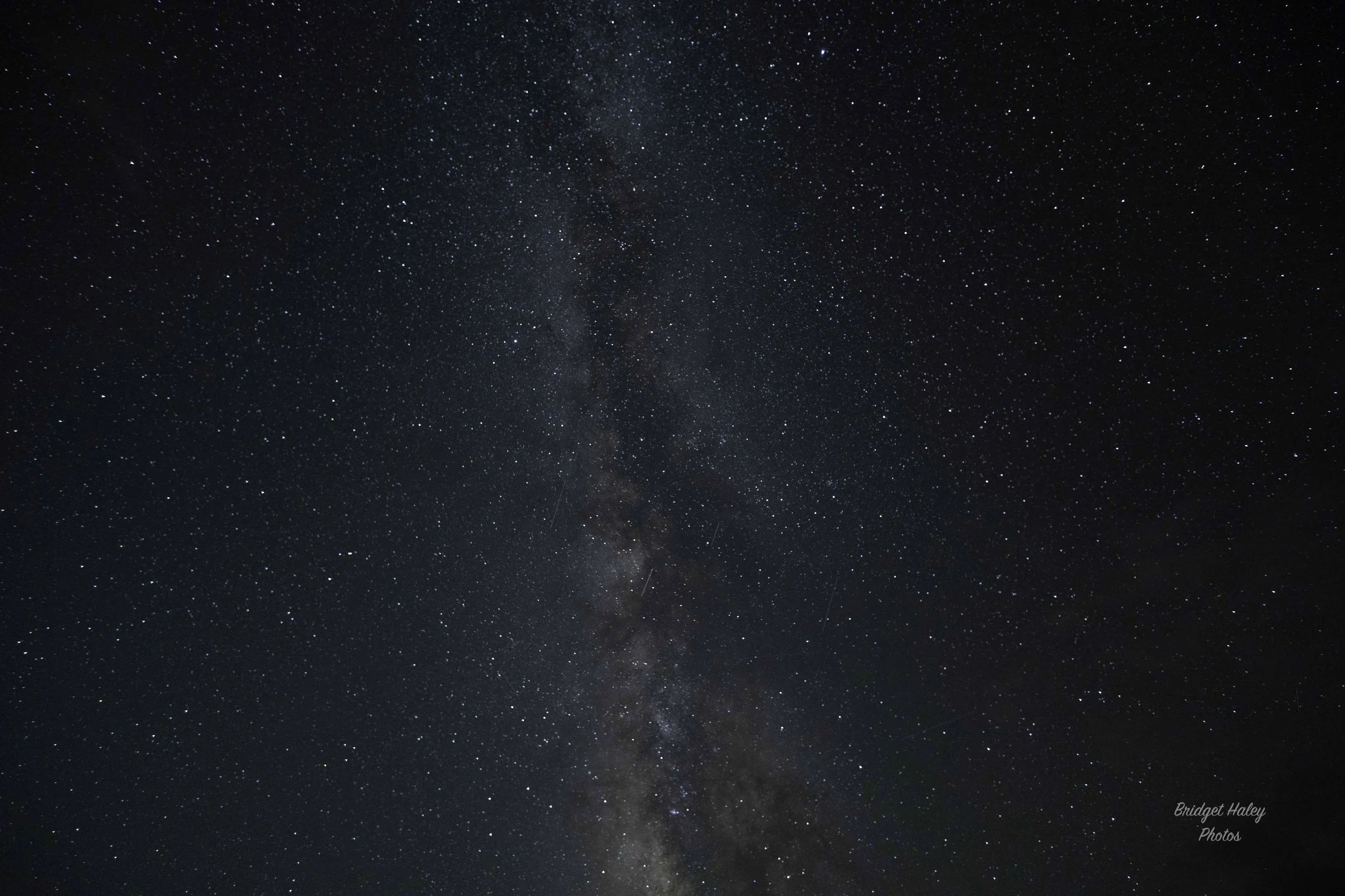 A7401478W.jpg