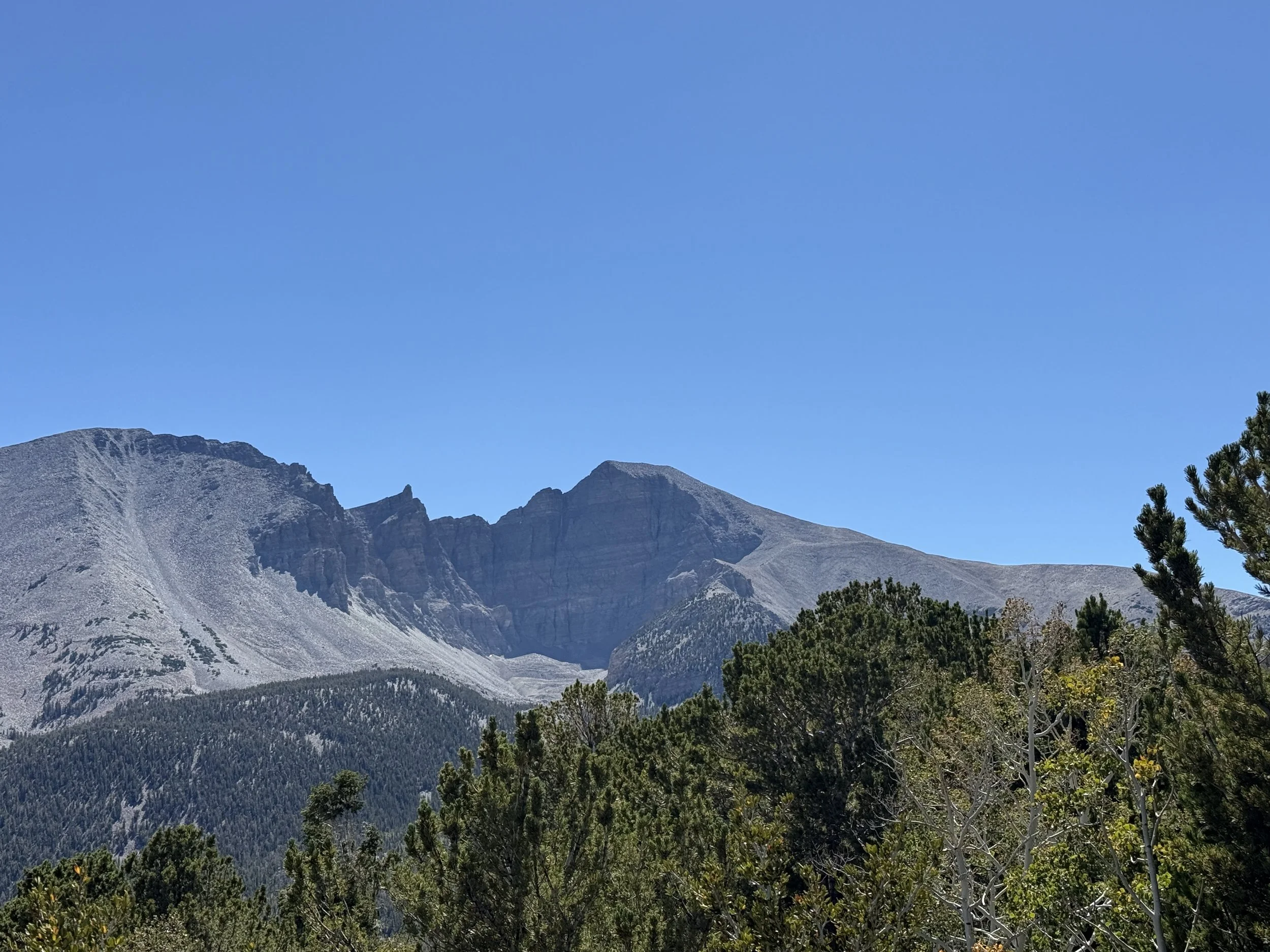 IMG_2892.JPG