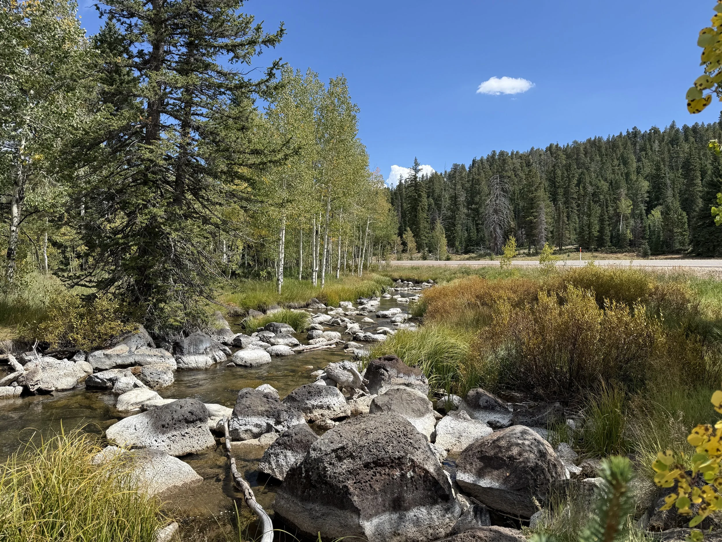 Cedar Canyon: No Reservation, No Plan &amp; One Very Peaceful Night