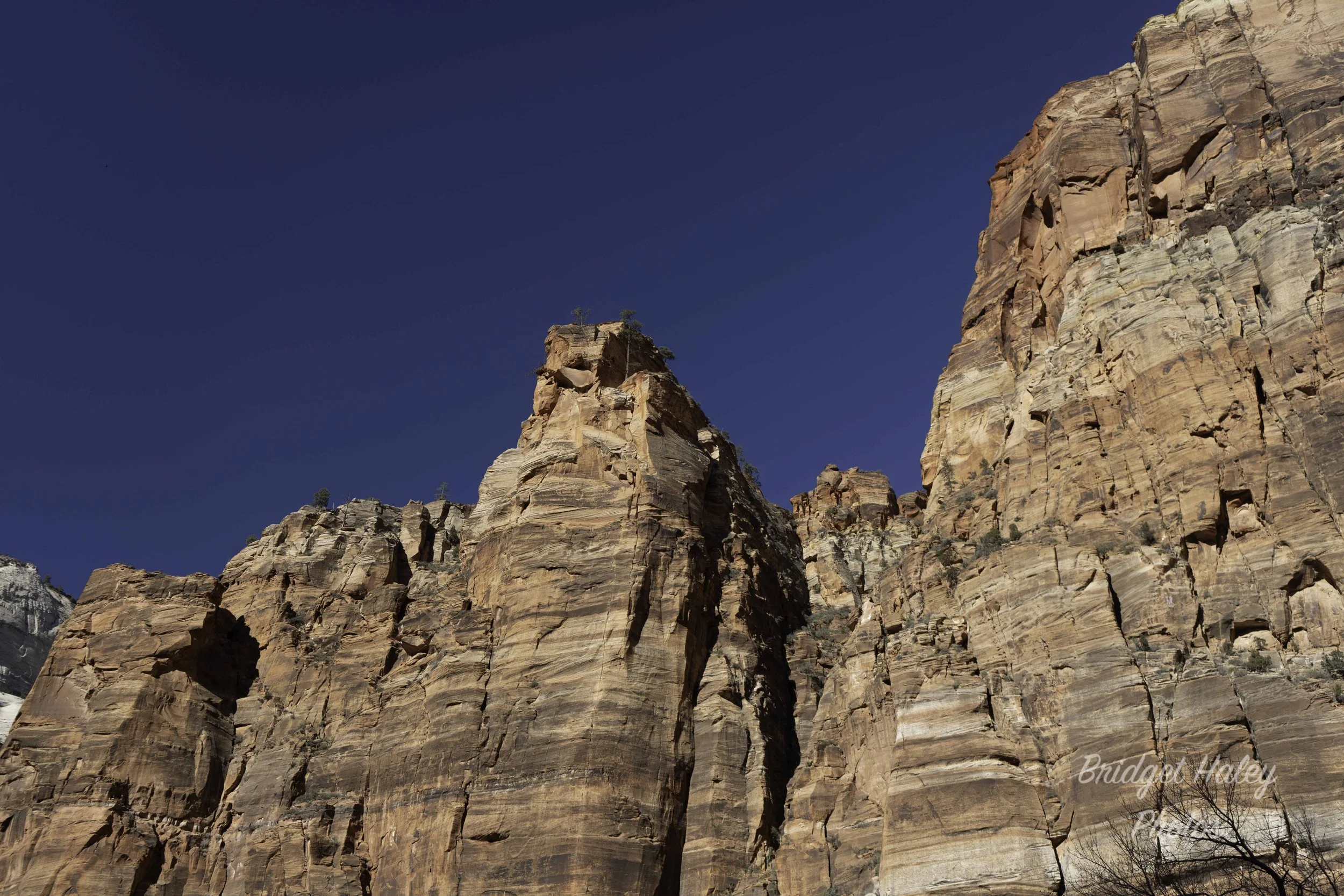 A7402038-Edit.jpg