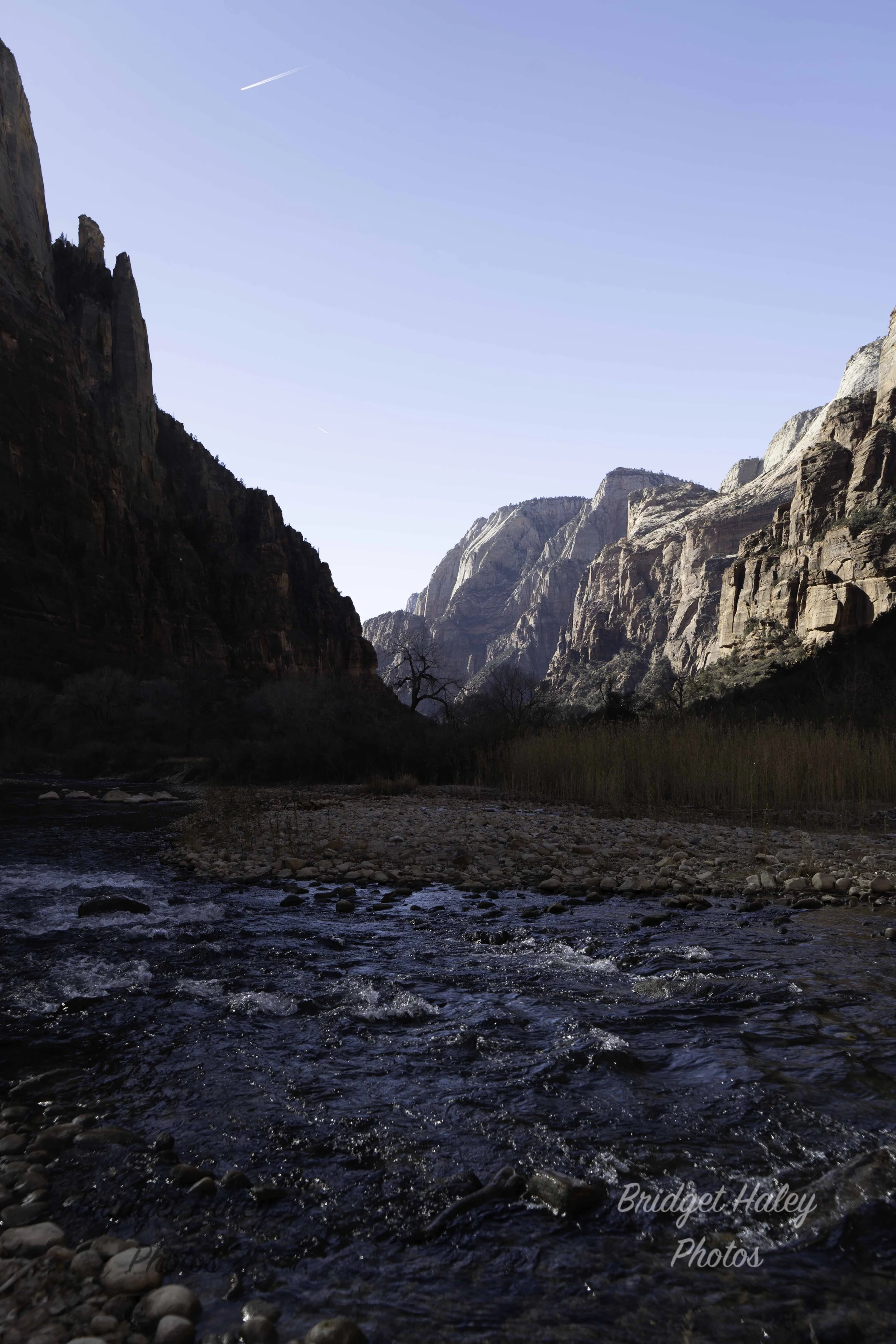 A7402040-Edit.jpg