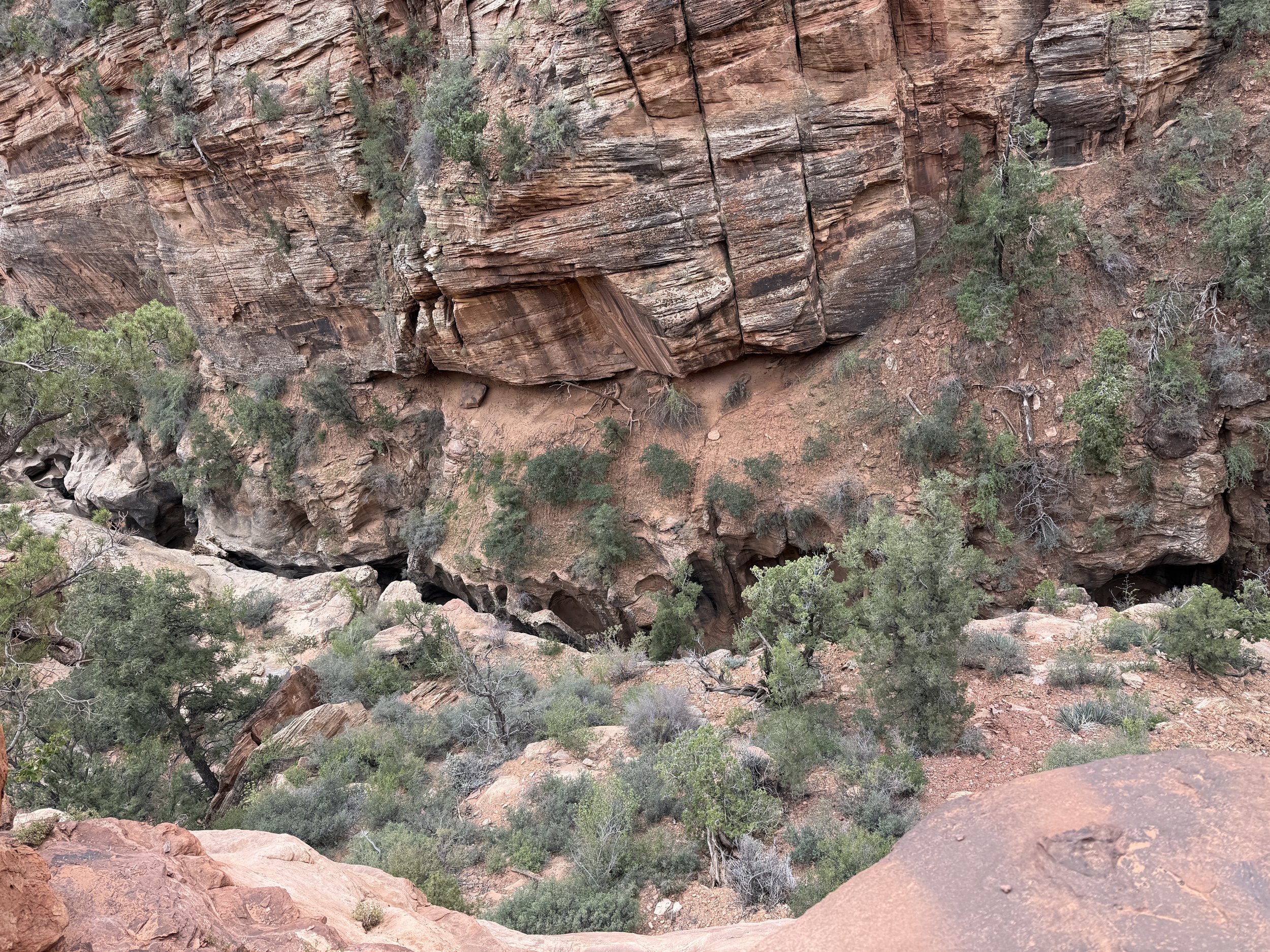 One Last Stop: A Quick Trip Through Zion